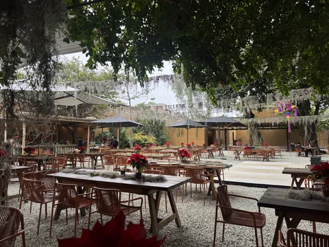 Criollo image 5