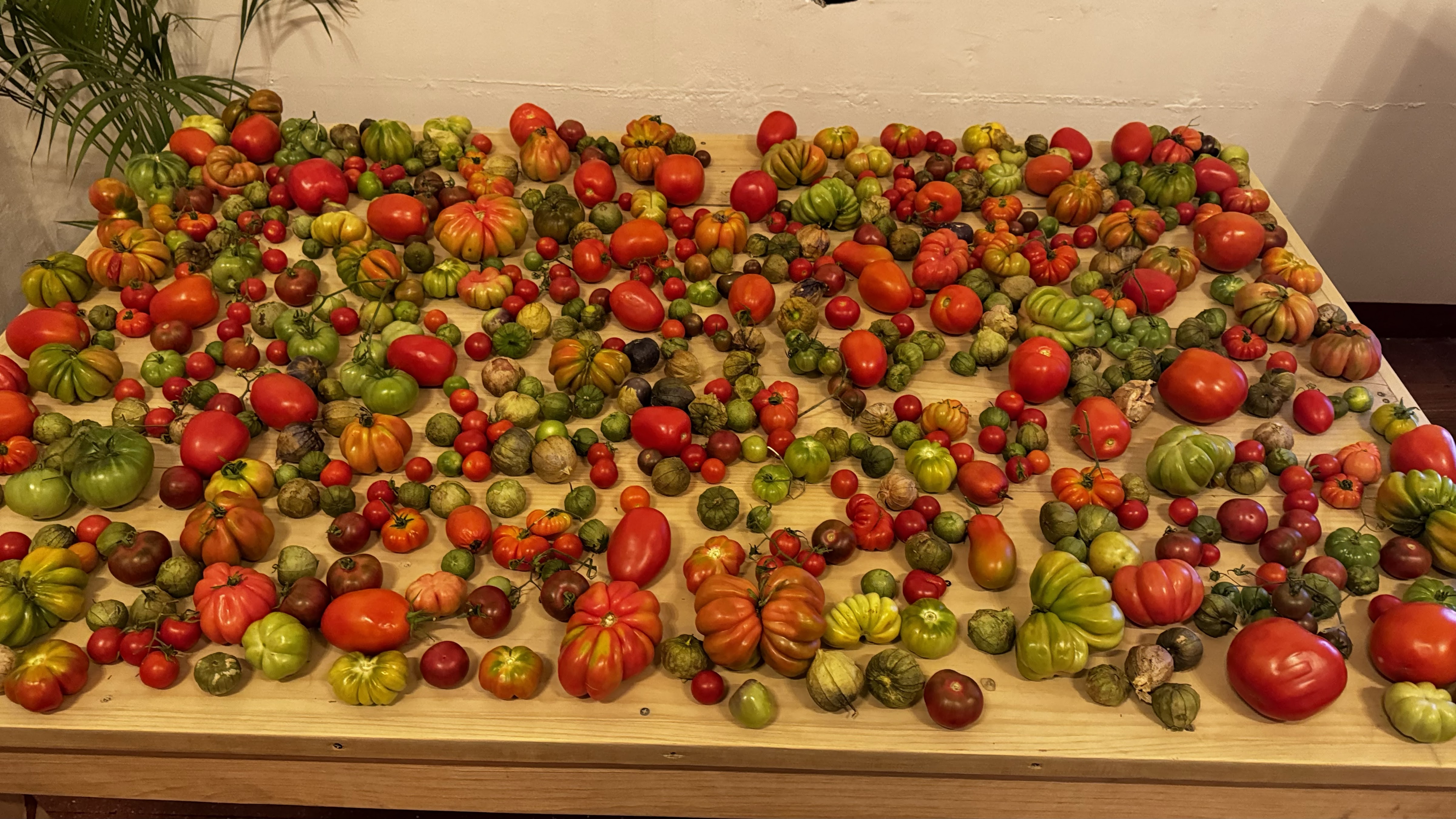 Levadura de Olla Restaurante image 10