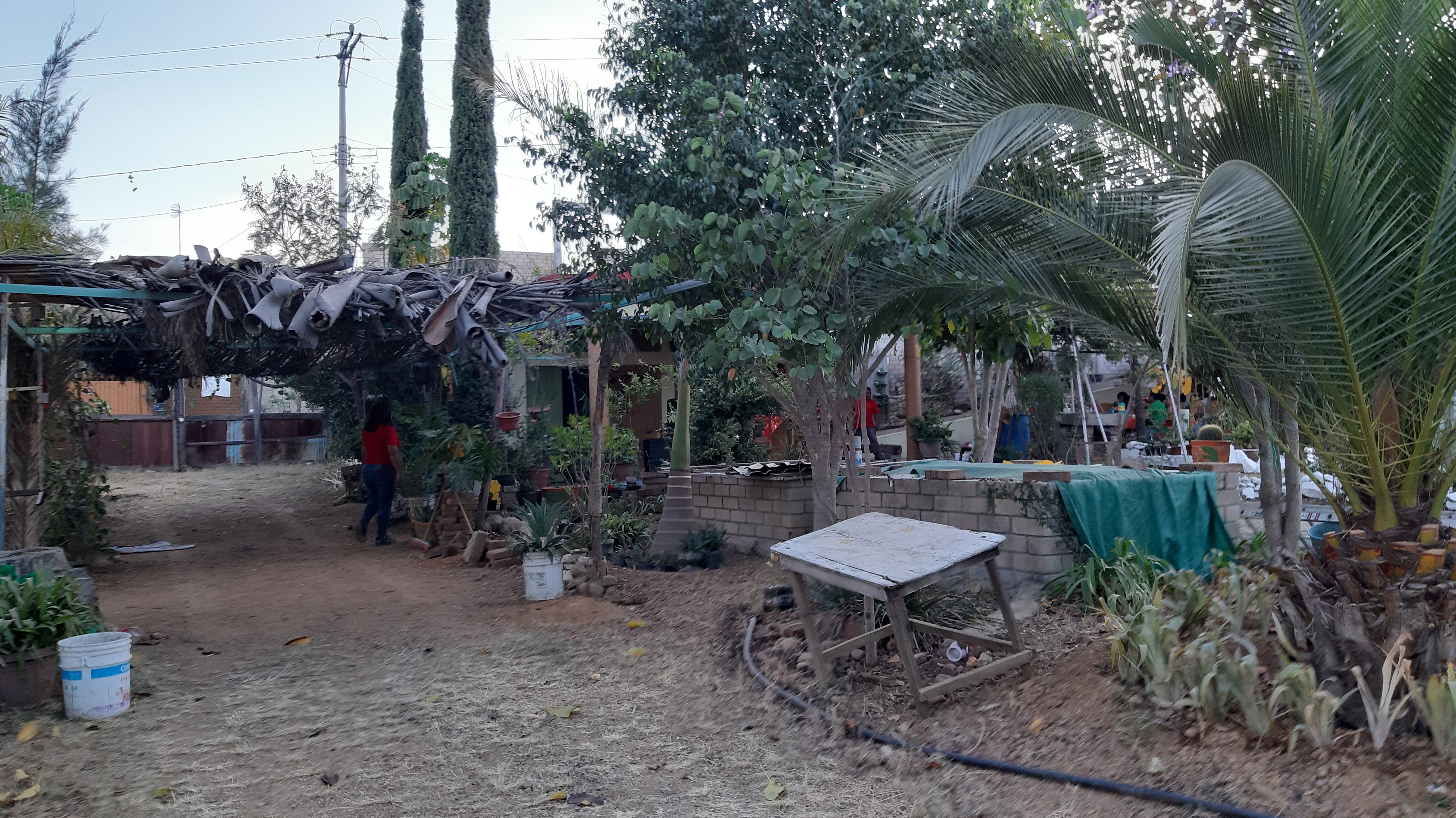 Los pinos mojarras y cocteles image 1