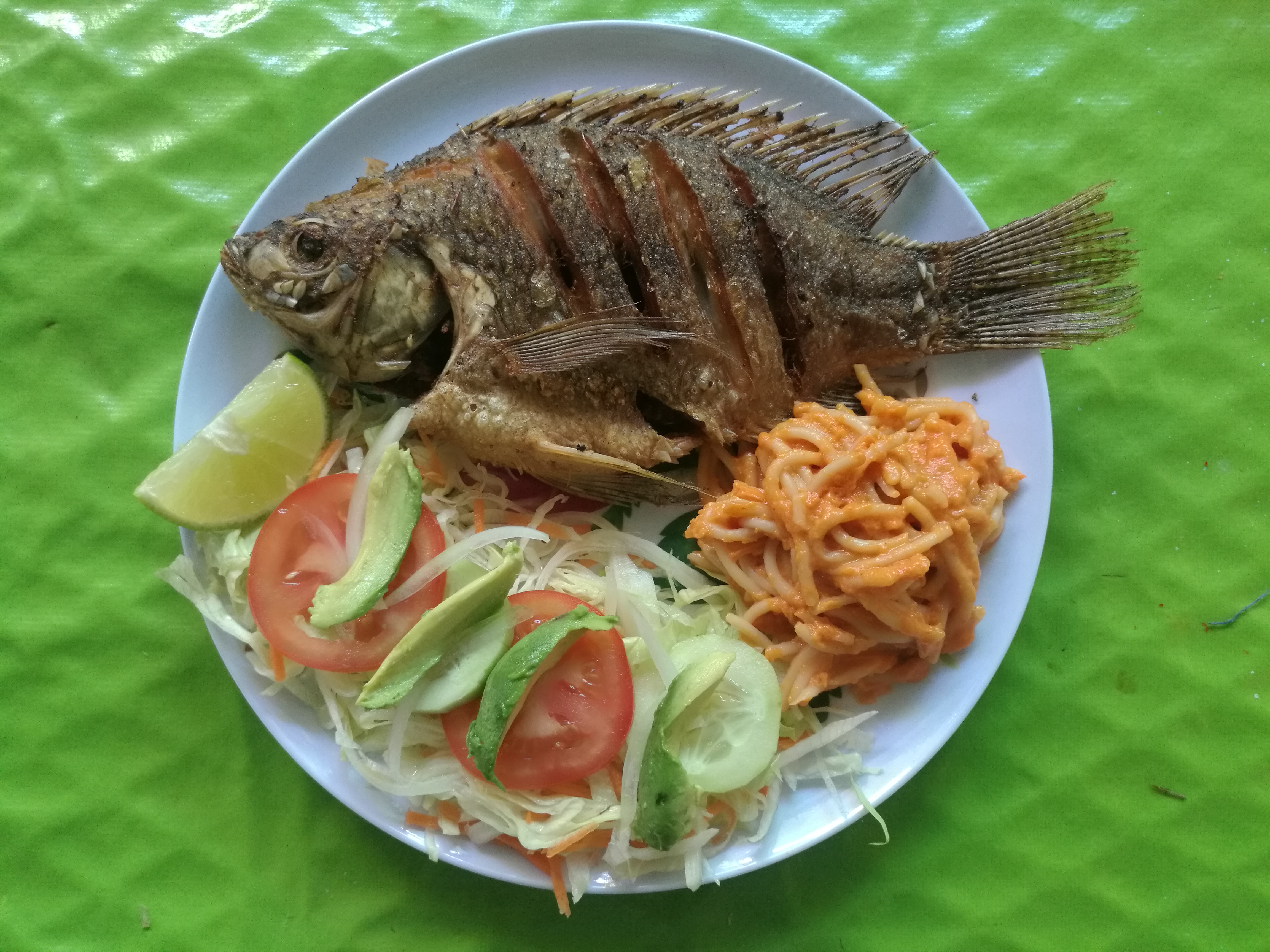 Los pinos mojarras y cocteles image 4