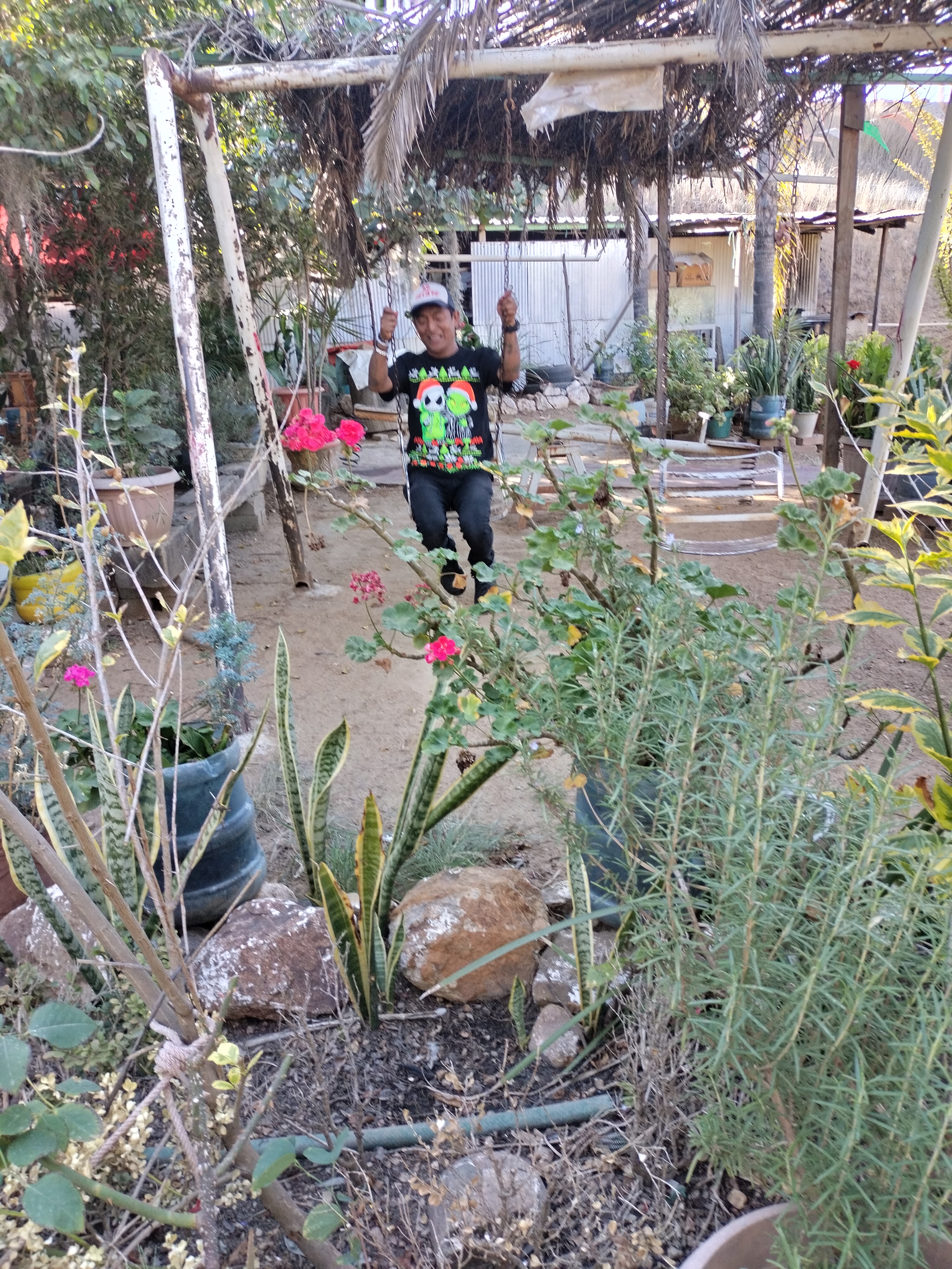 Los pinos mojarras y cocteles image 5