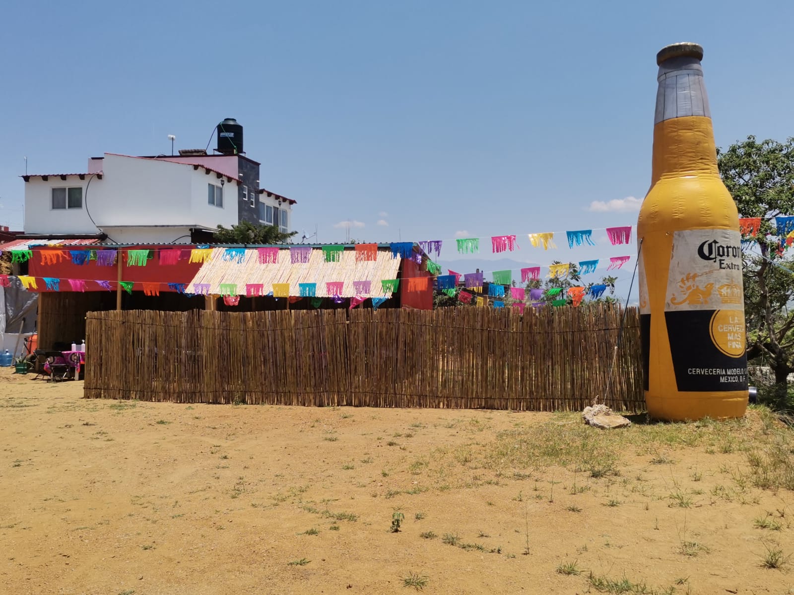 Mar de Cortés image 6