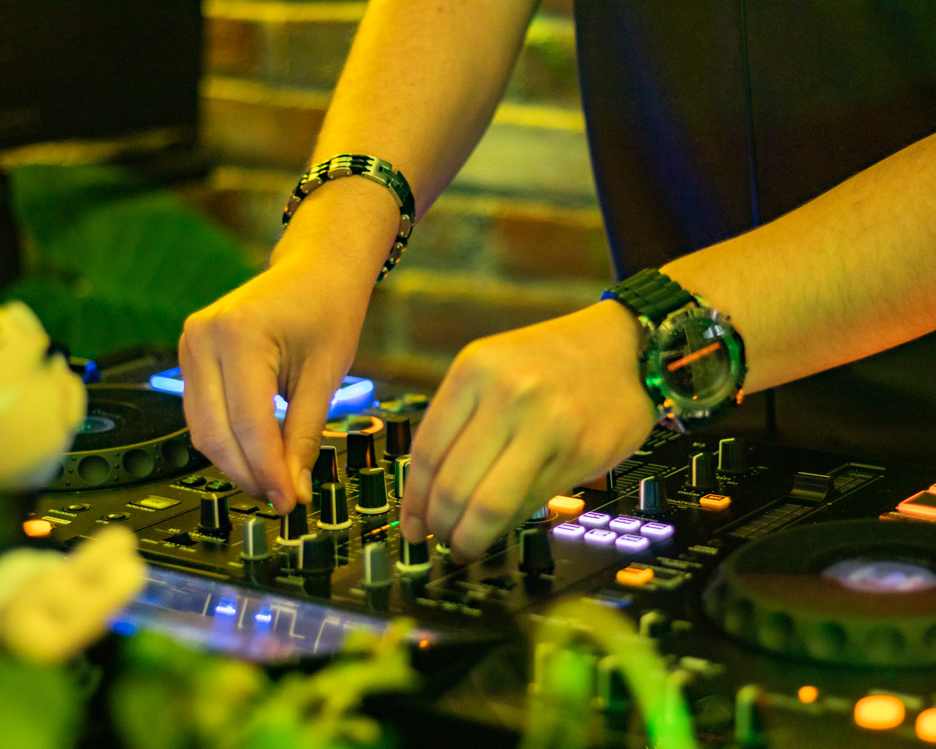 Hierba Buena image 6