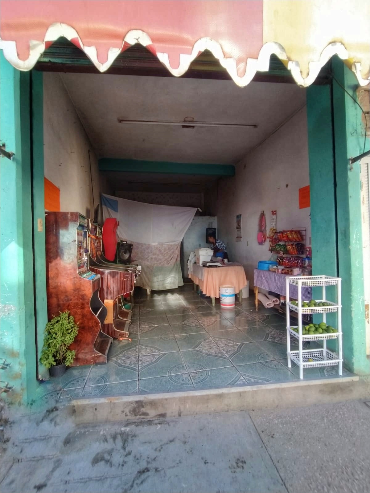 Tortillas a Mano Elizabeth image 3