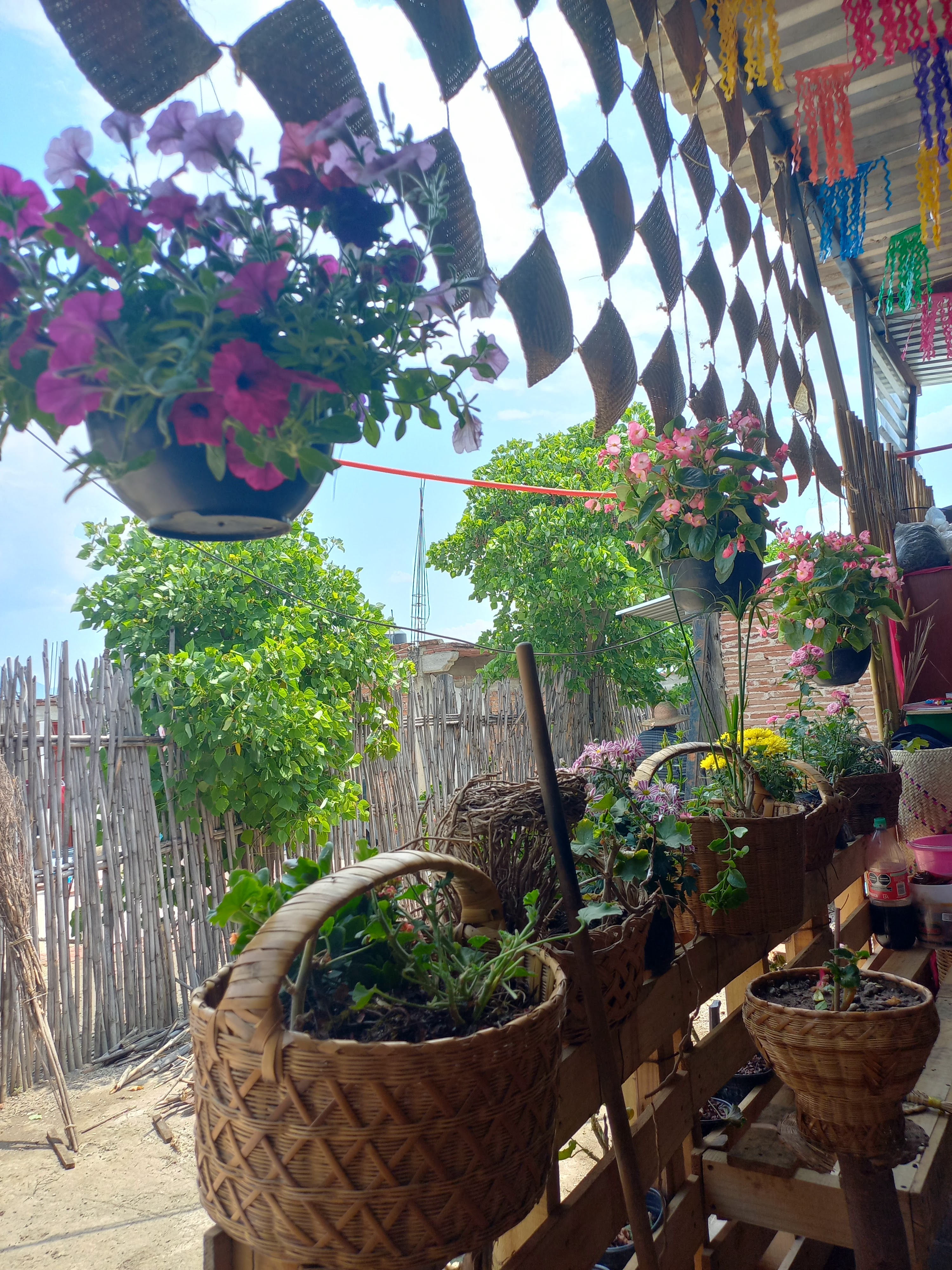 Nana Vira Traditional Cuisine image 10