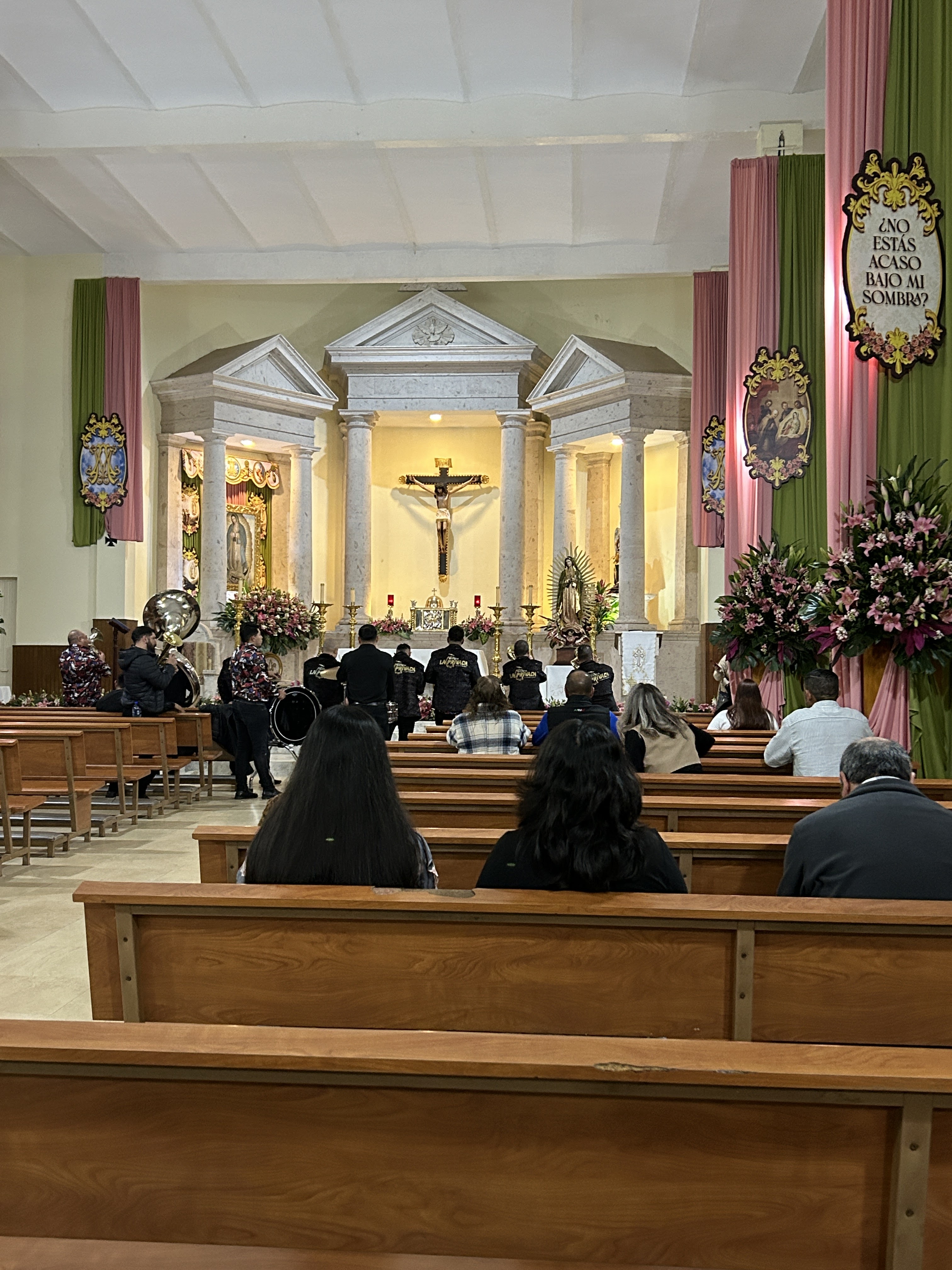 Fresas Santa Fe image 5