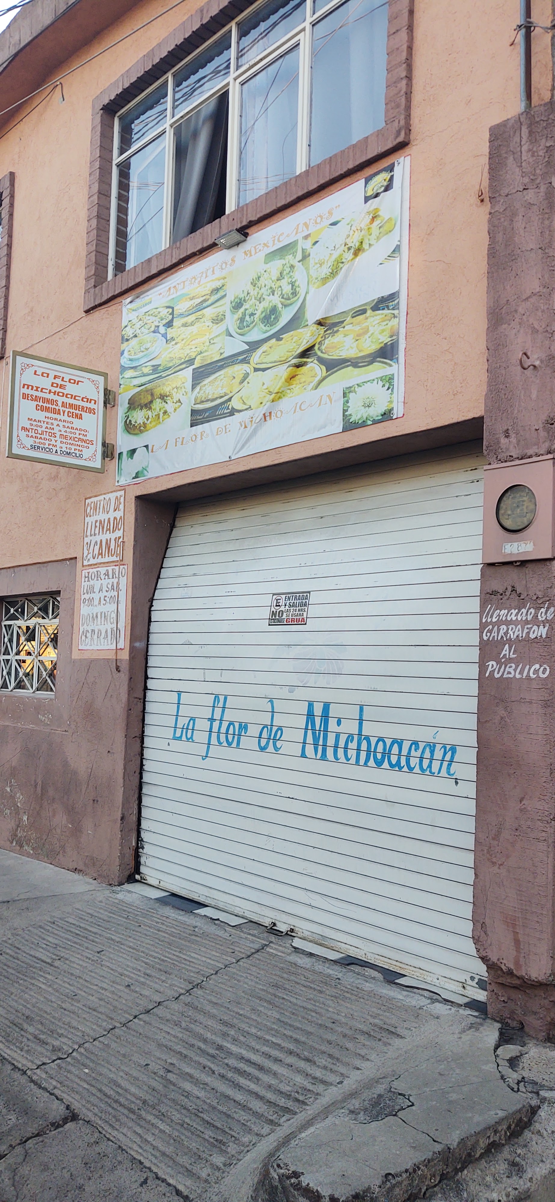 LA FLOR DE MICHOACAN restaurant image 1