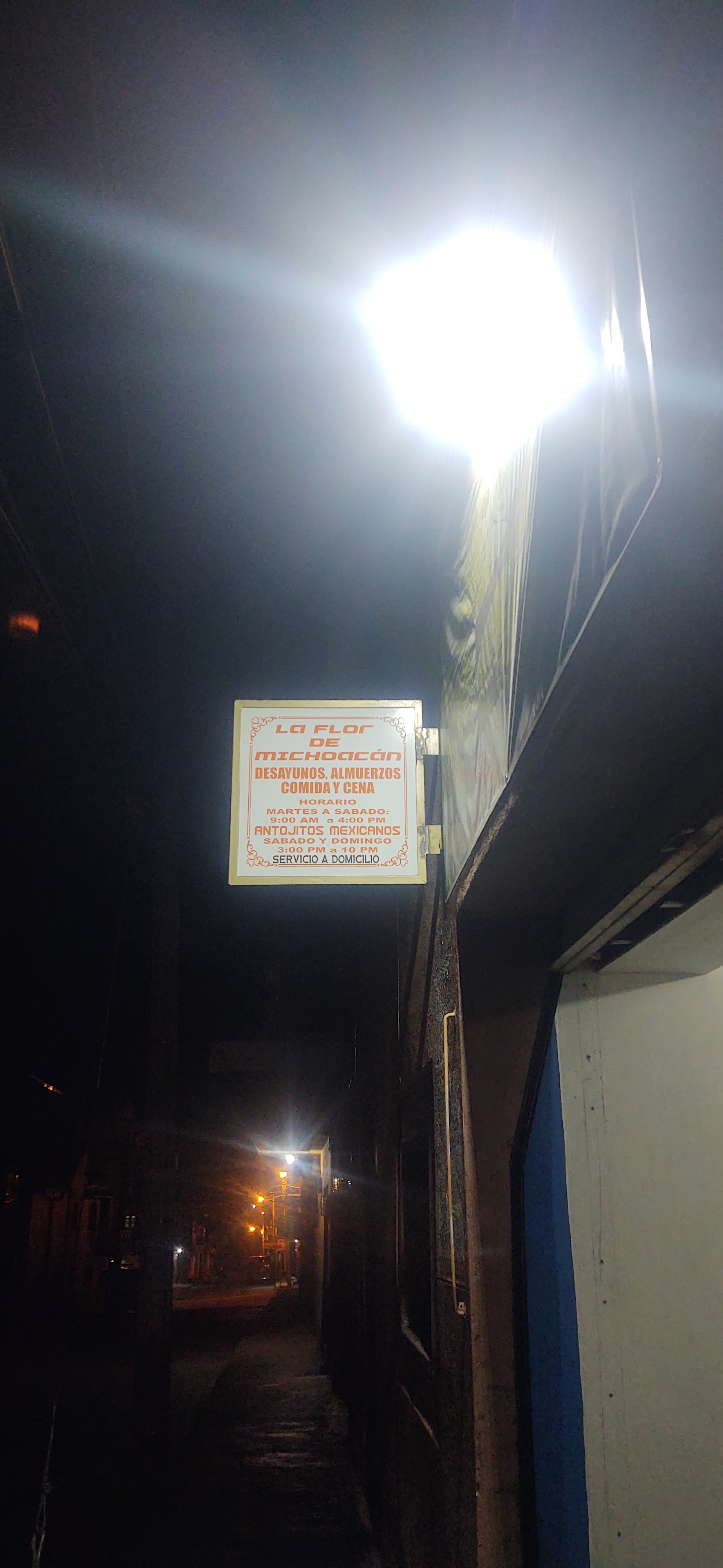 LA FLOR DE MICHOACAN restaurant image 2