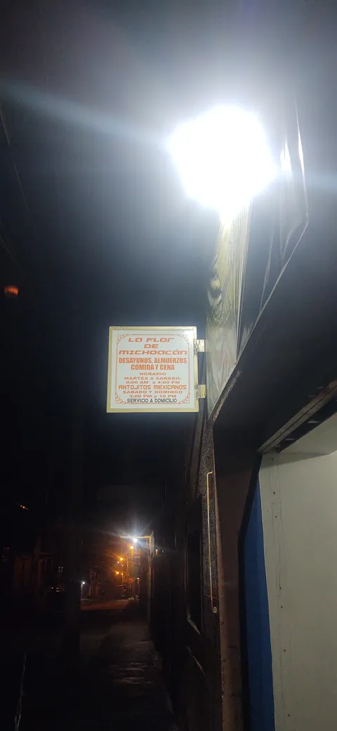 LA FLOR DE MICHOACAN restaurant image 2
