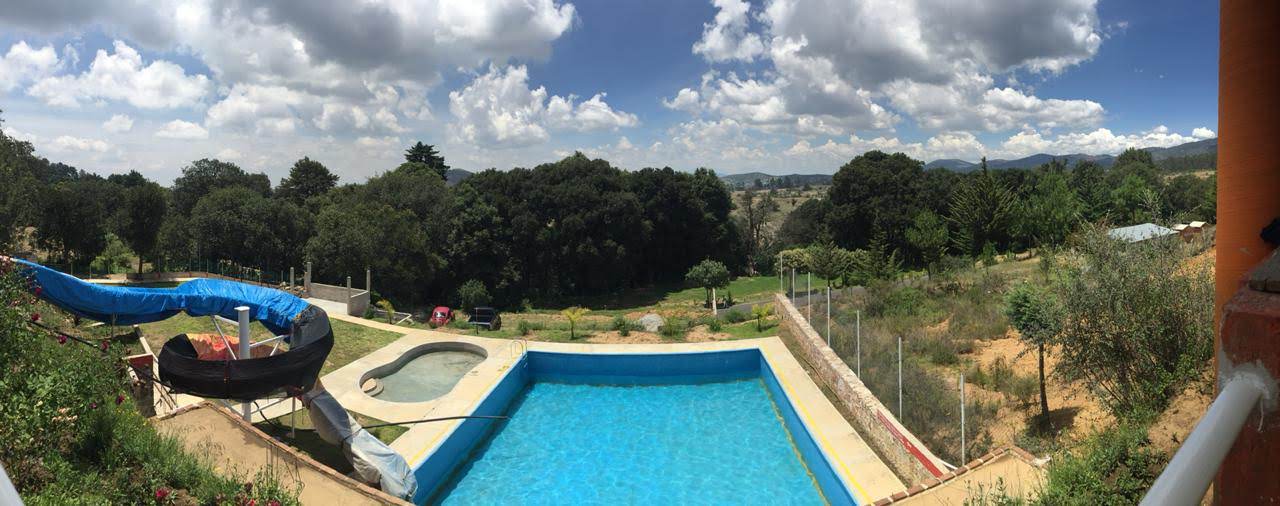 Tlalpamamaza image 3