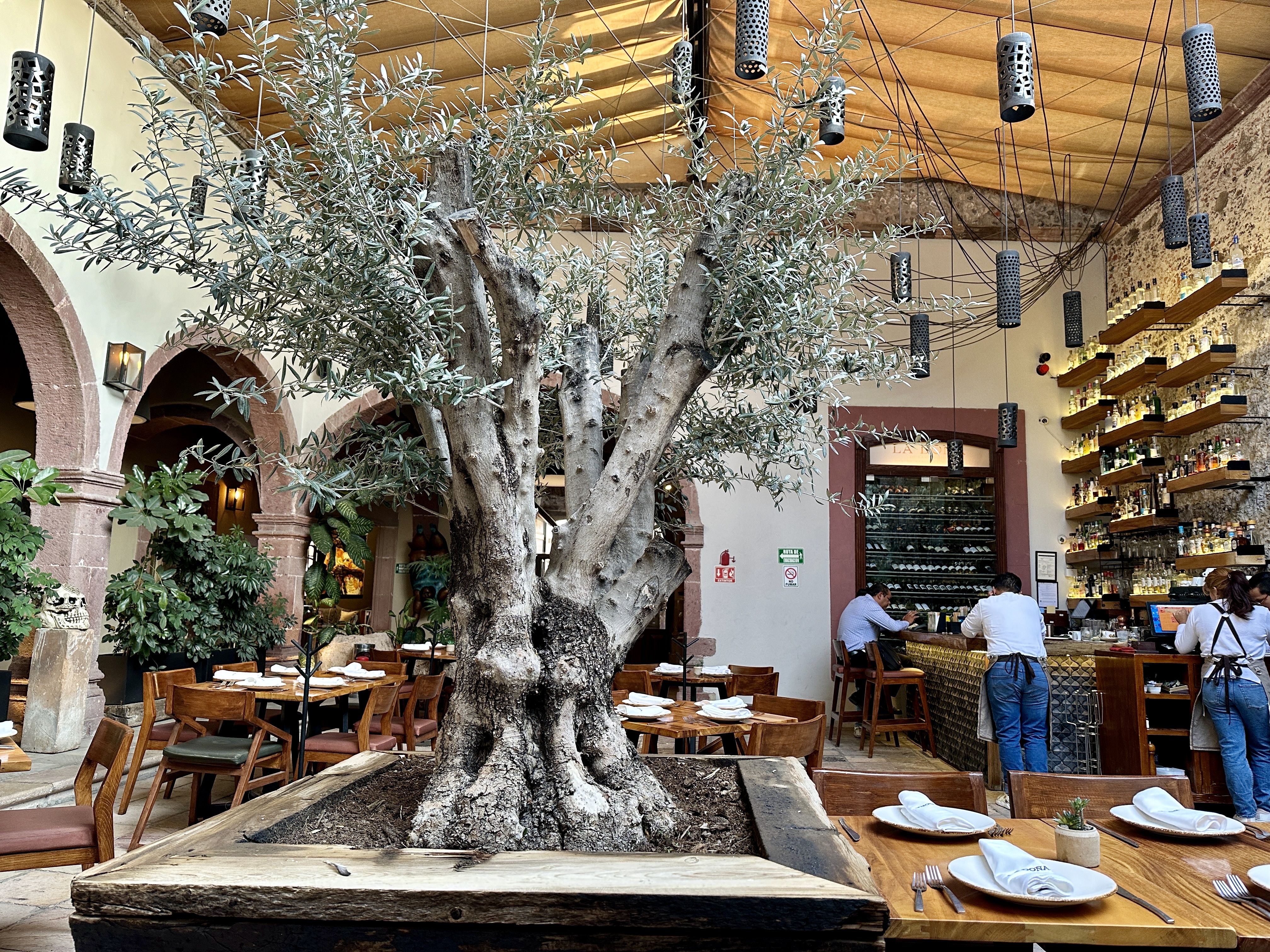 La Doña de San Miguel image 4