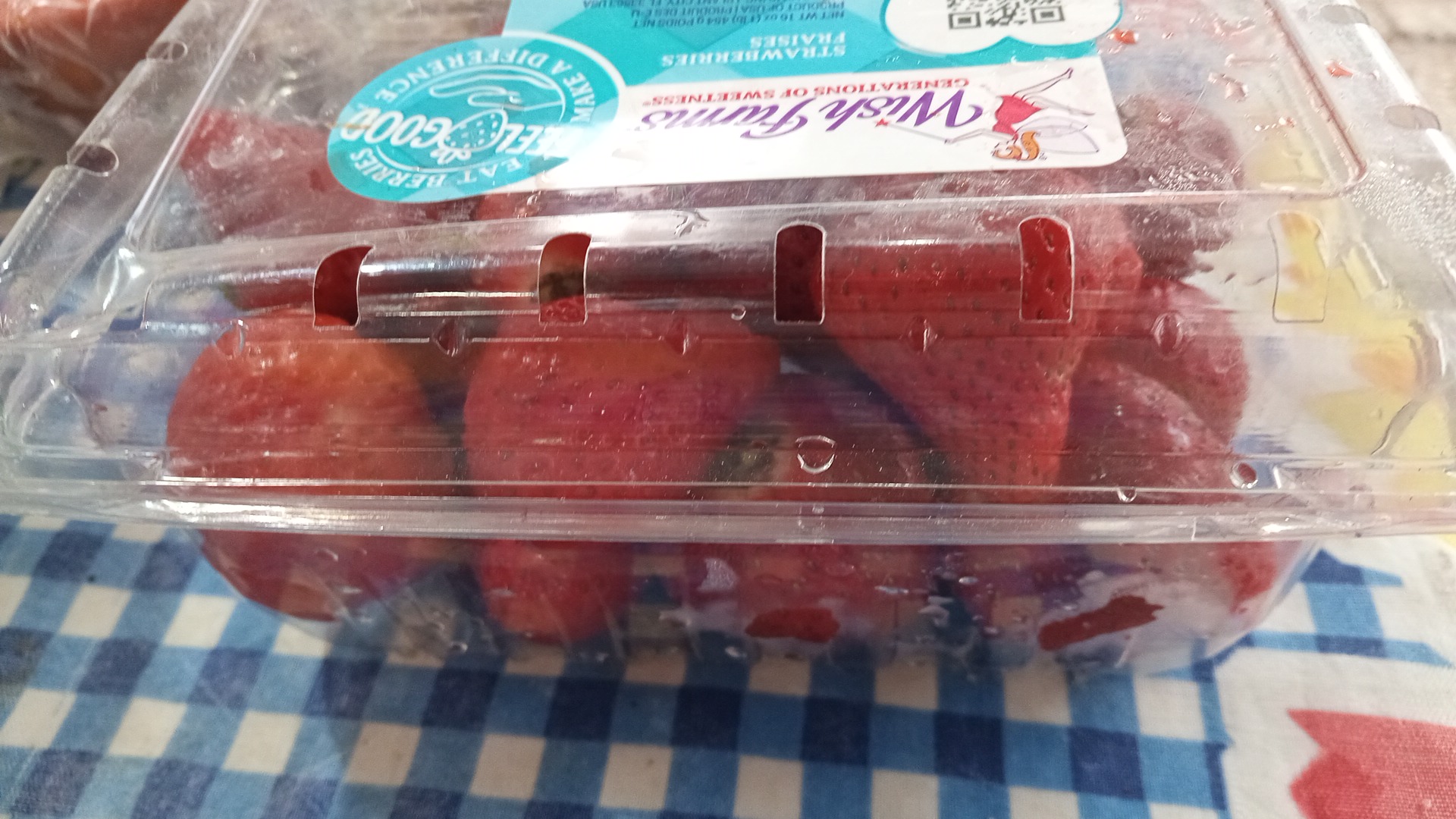 Dogos Letty's image 5