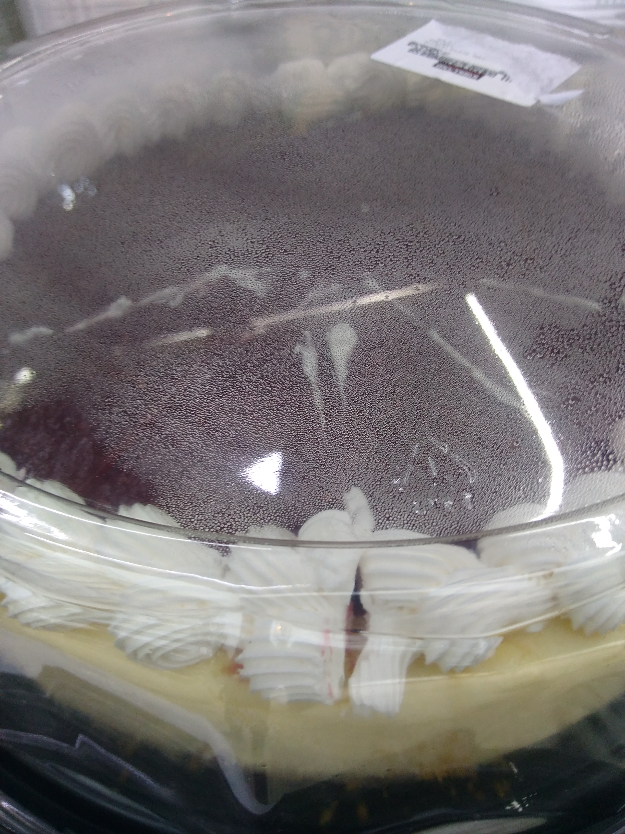 Dogos Letty's image 9