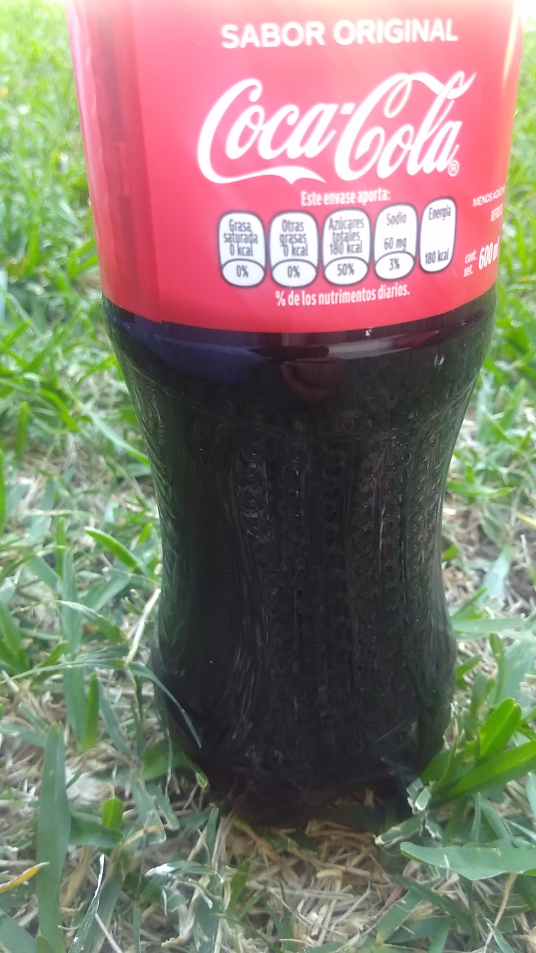 Dogos Letty's image 10