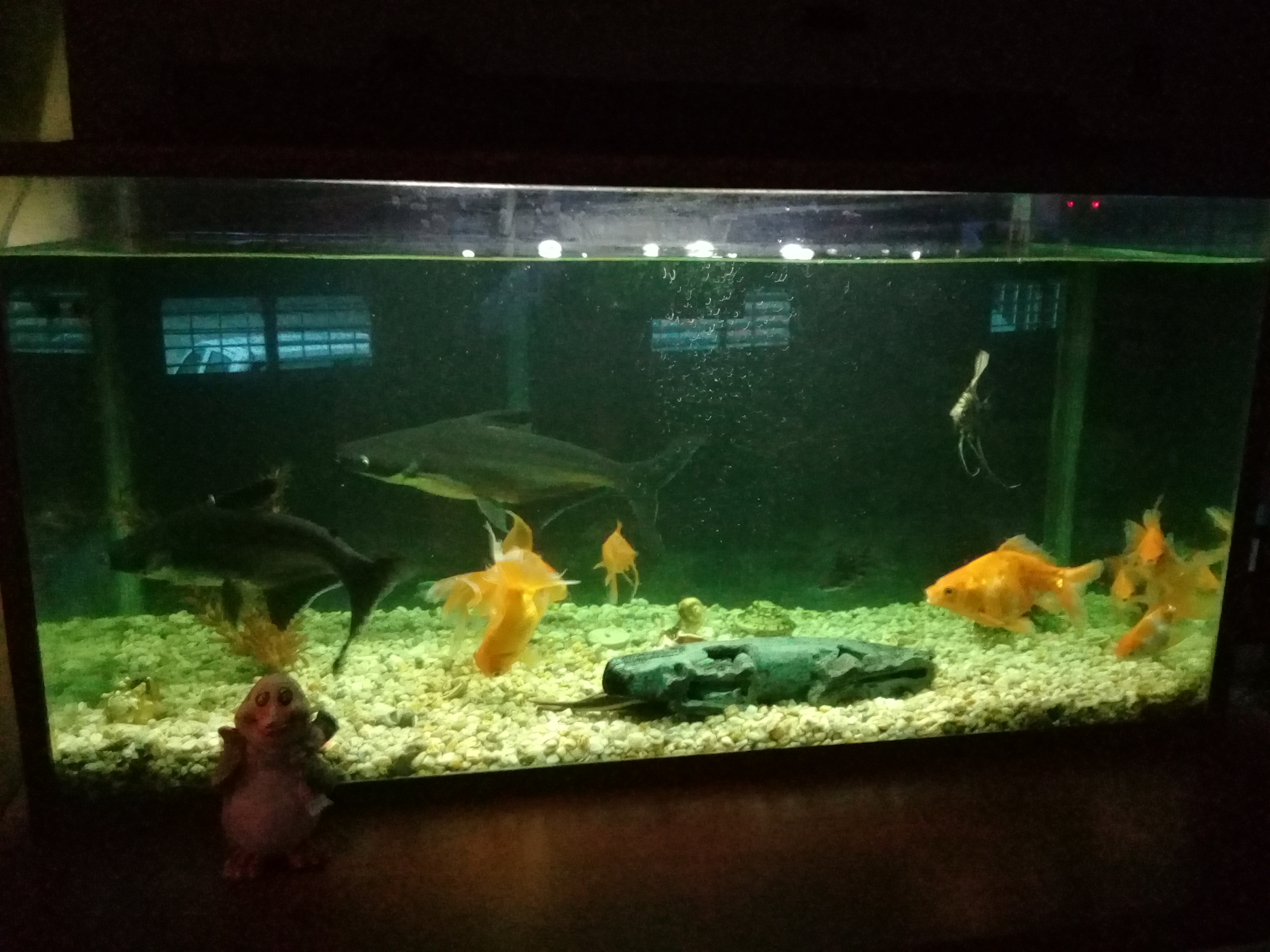 Family Bar Restaurant “MABY” image 4