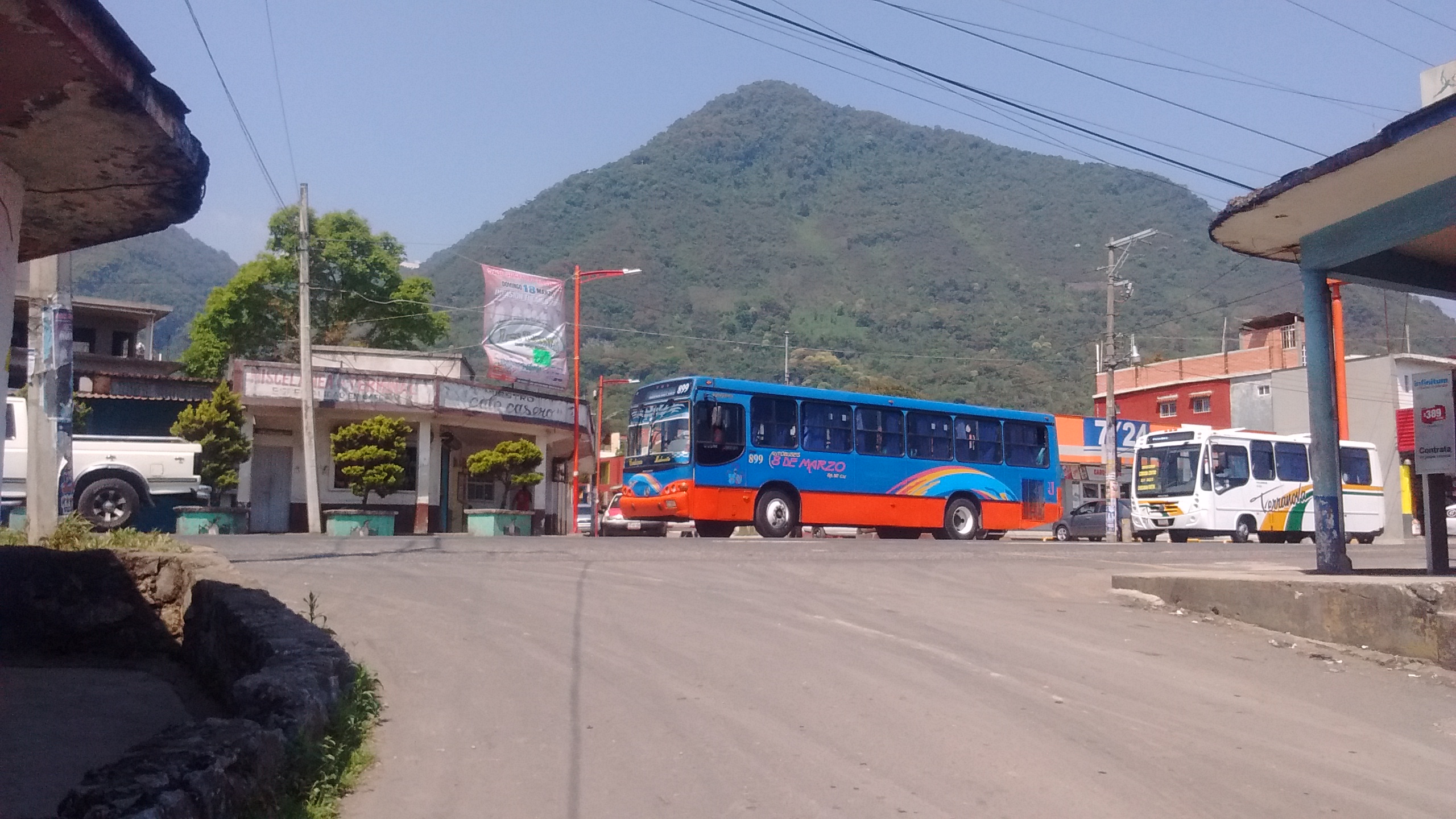 Taquería La Terminal image 8