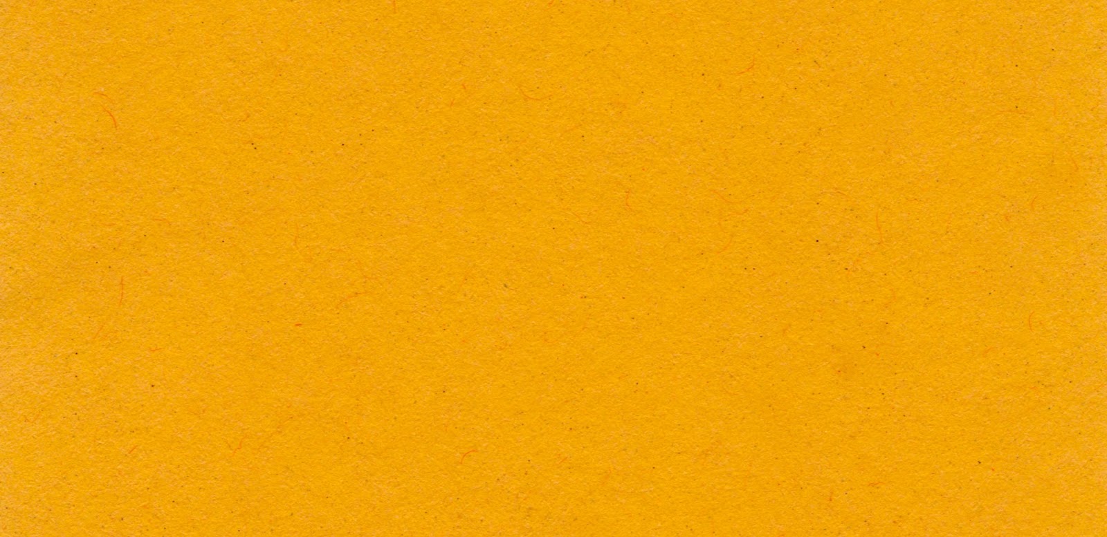 Lonchería LA ESTRELLITA image 3