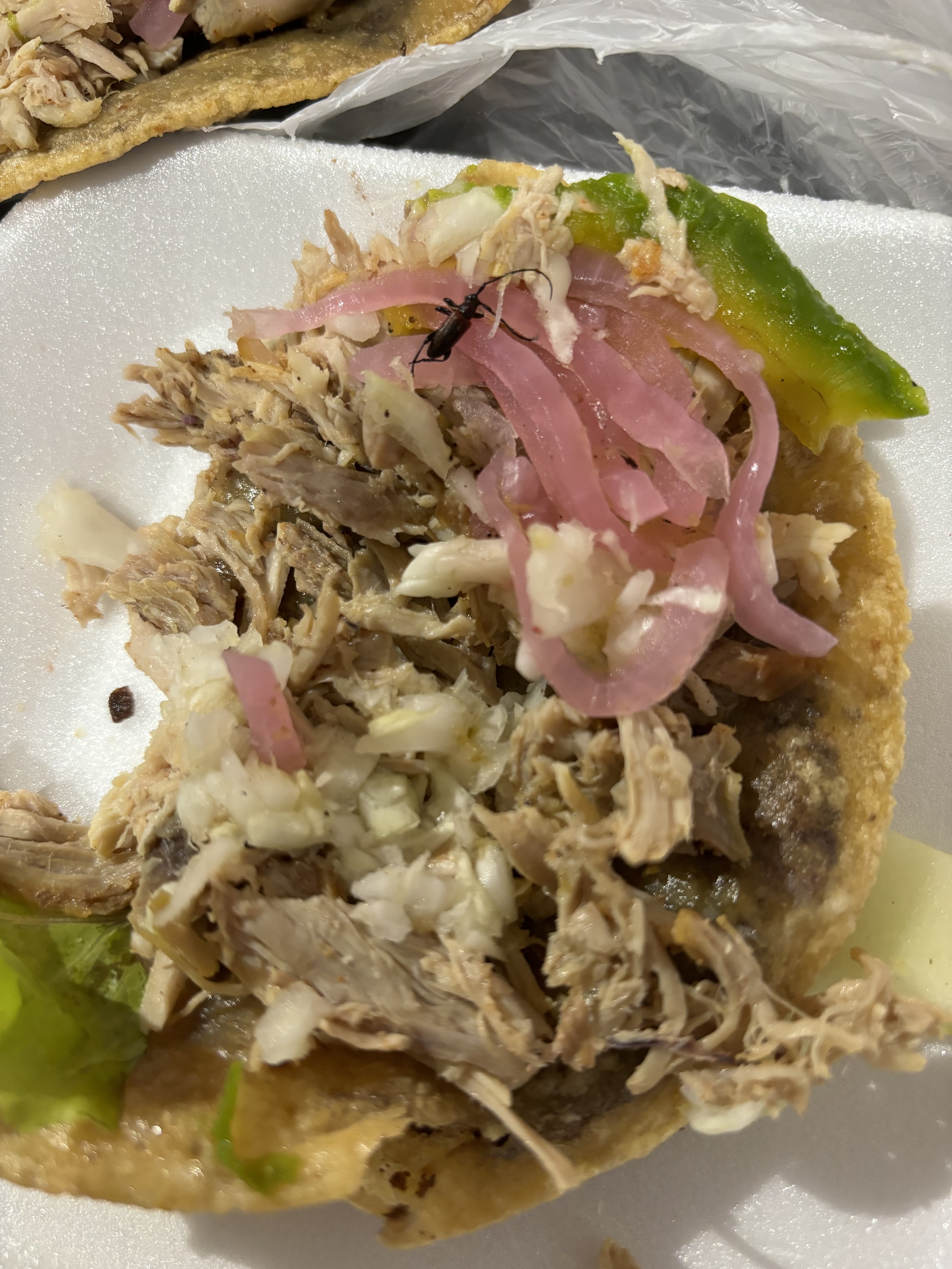 Lonchería LA ESTRELLITA image 10