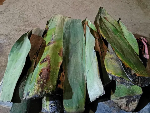 Barbacoa San Lorenzo image 5