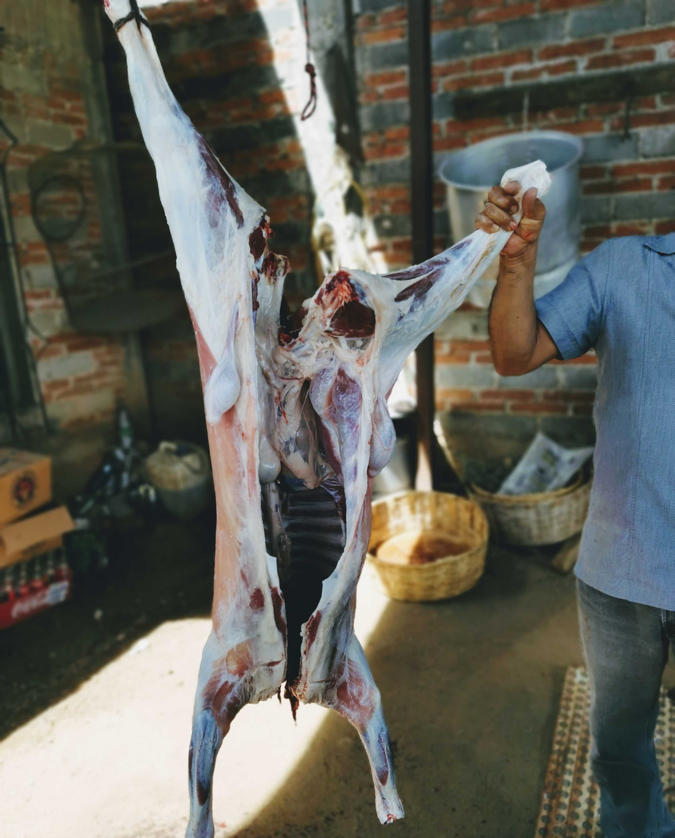 Barbacoa San Lorenzo image 6