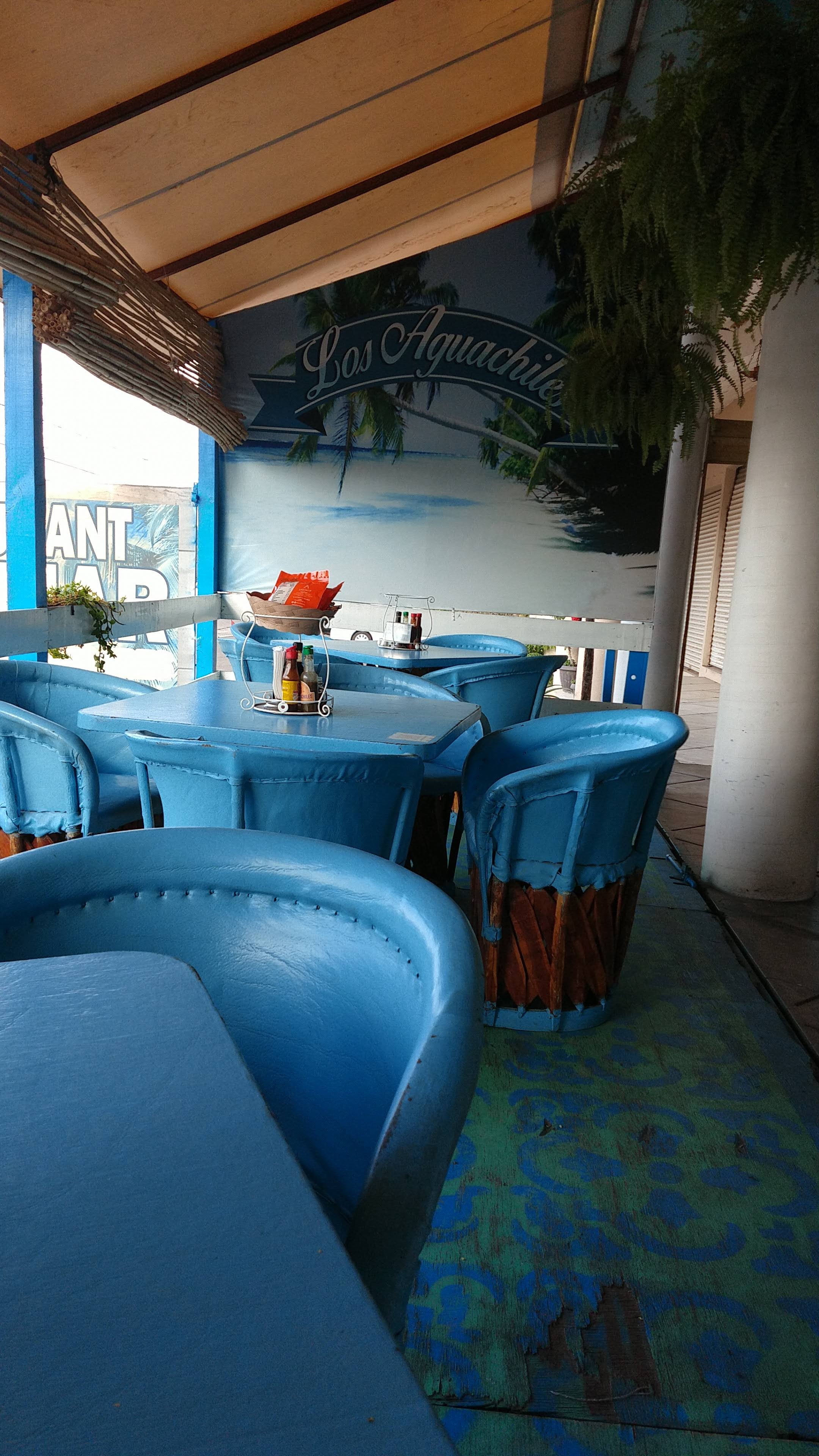 los aguachiles Zapotlanejo image 3