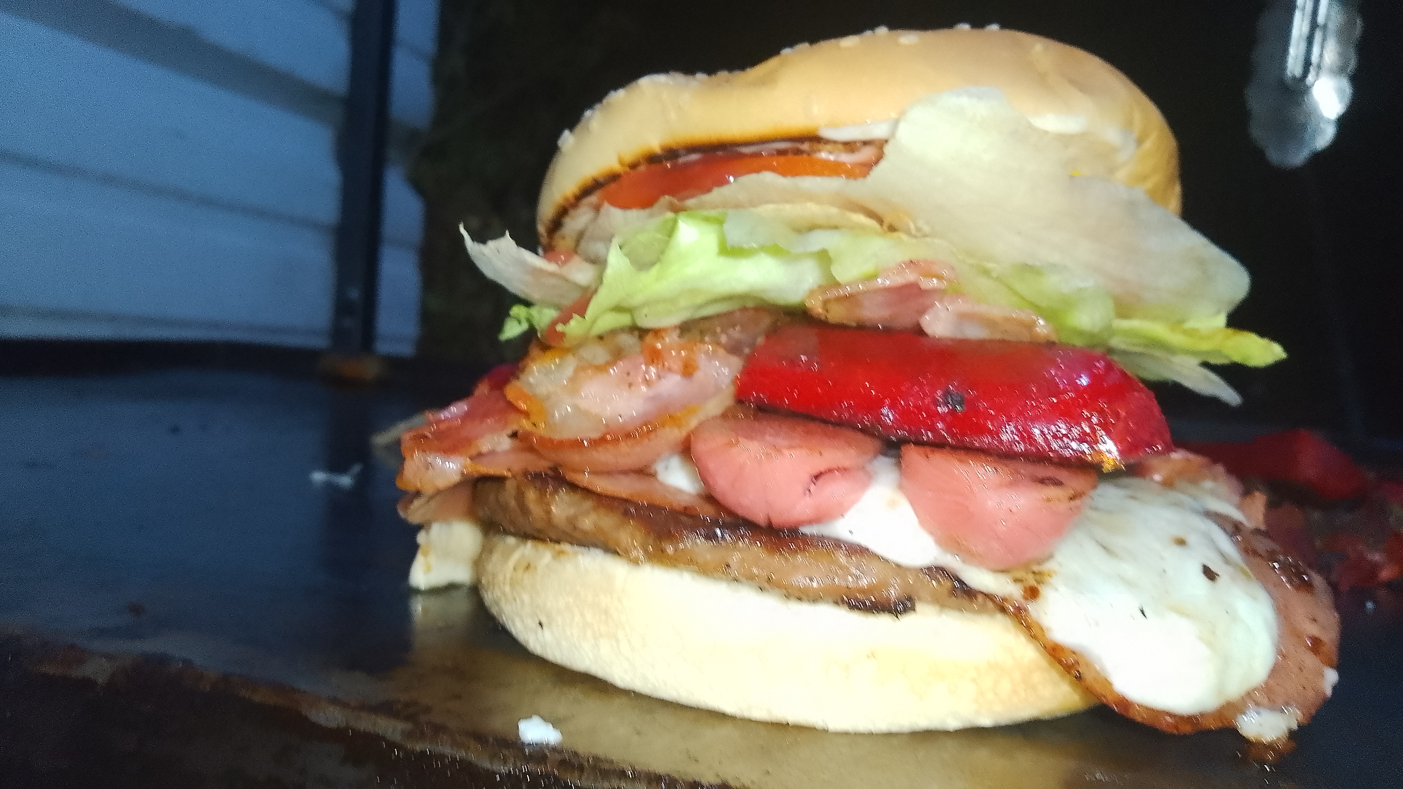 EL CHAPARRAL image 7