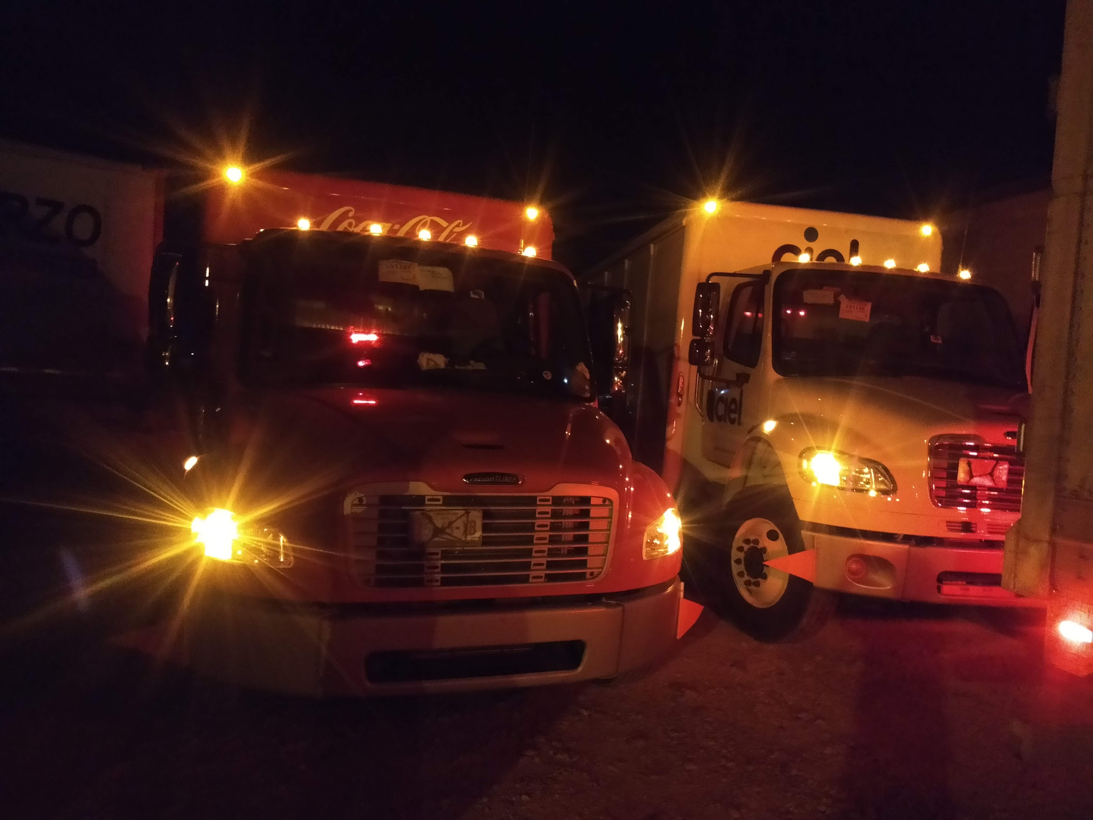 Seafood LoLo image 3