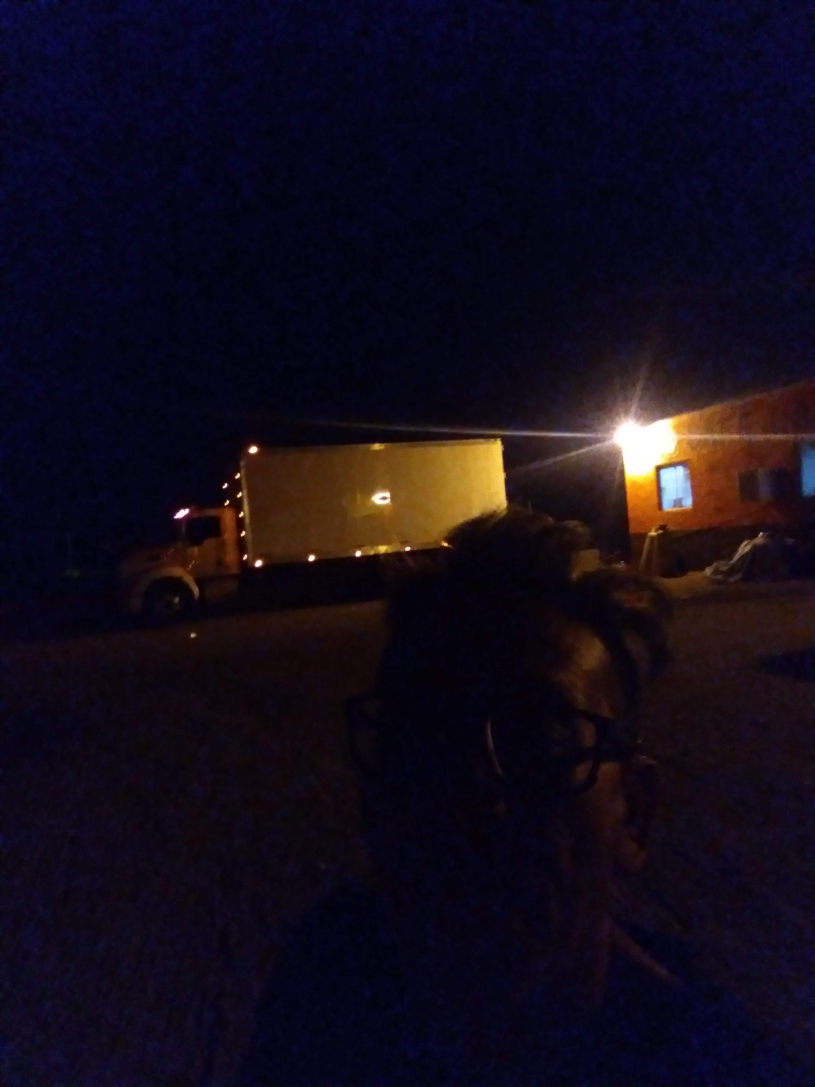 Seafood LoLo image 7