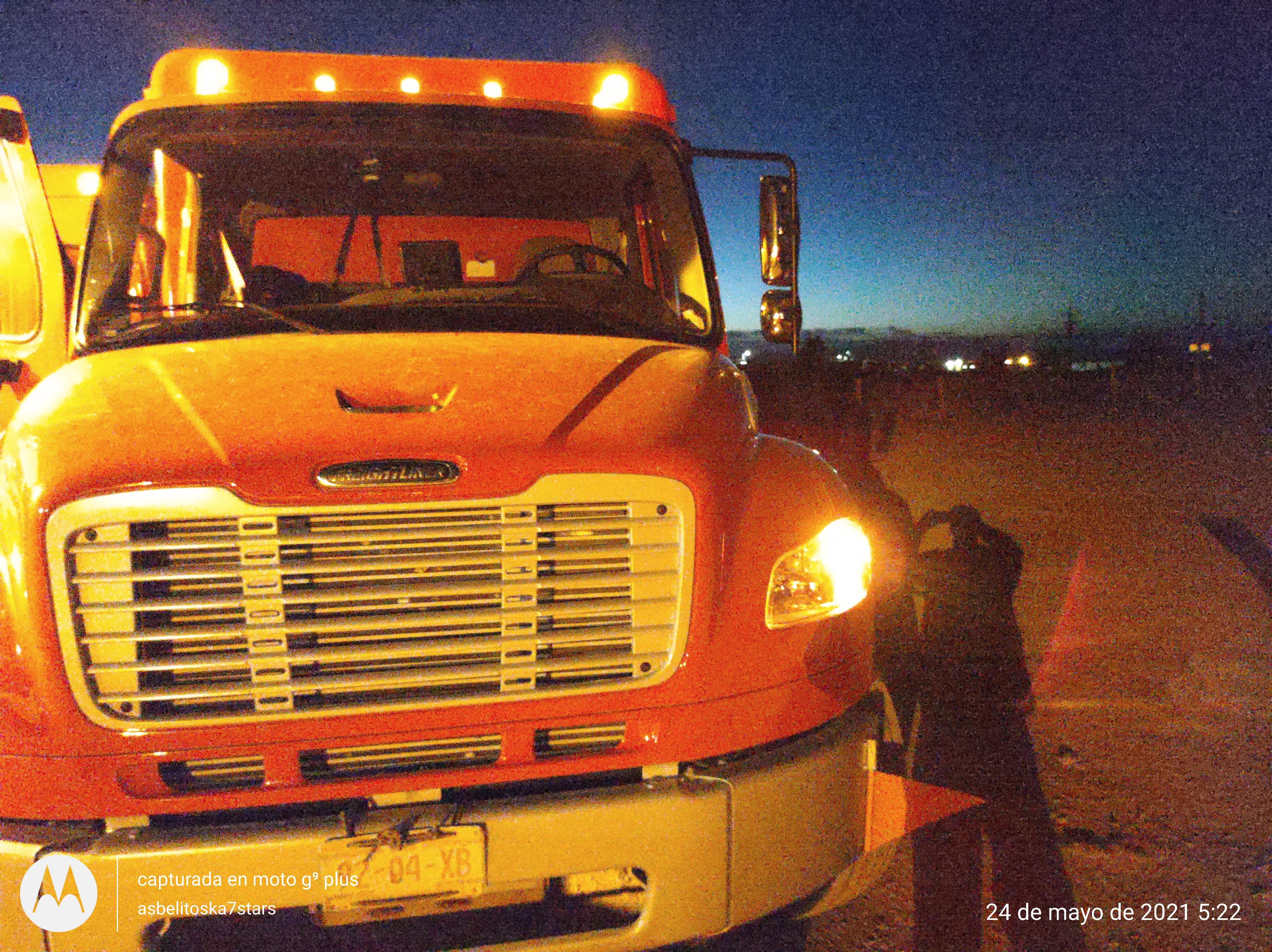 Seafood LoLo image 10