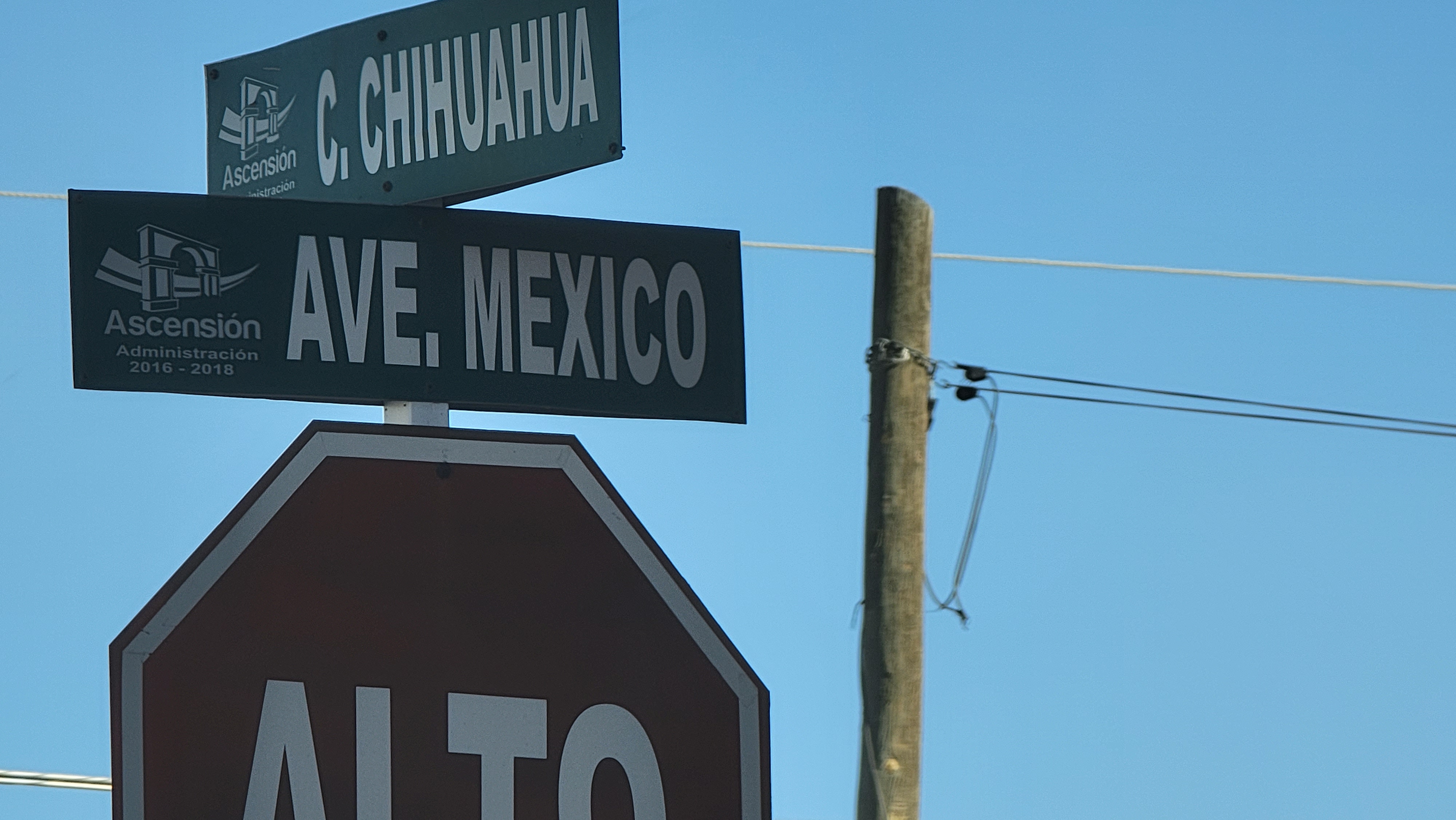 Golden Dragon image 3