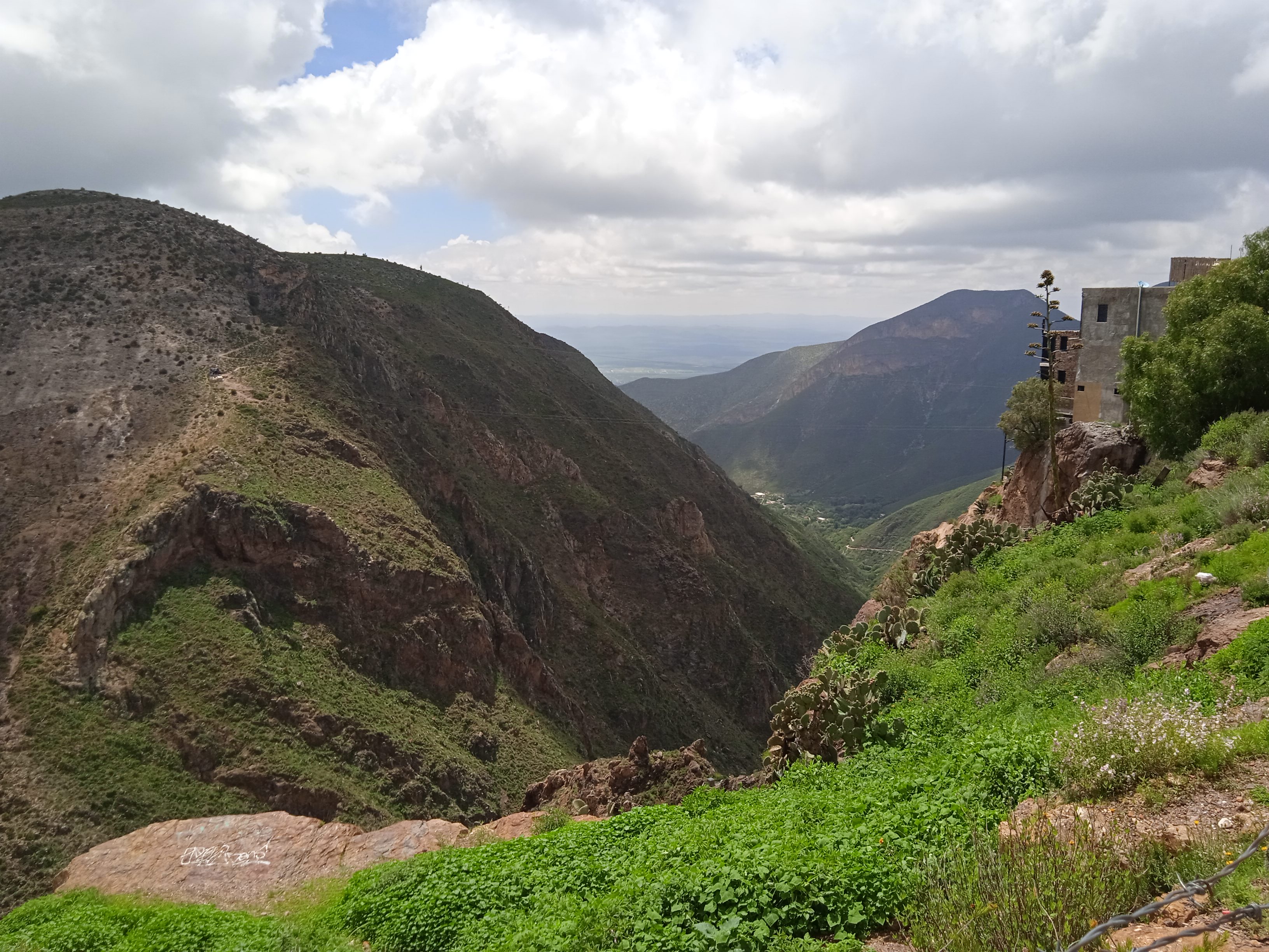 Mirador, Restaurant-Bar - El Templo image 4
