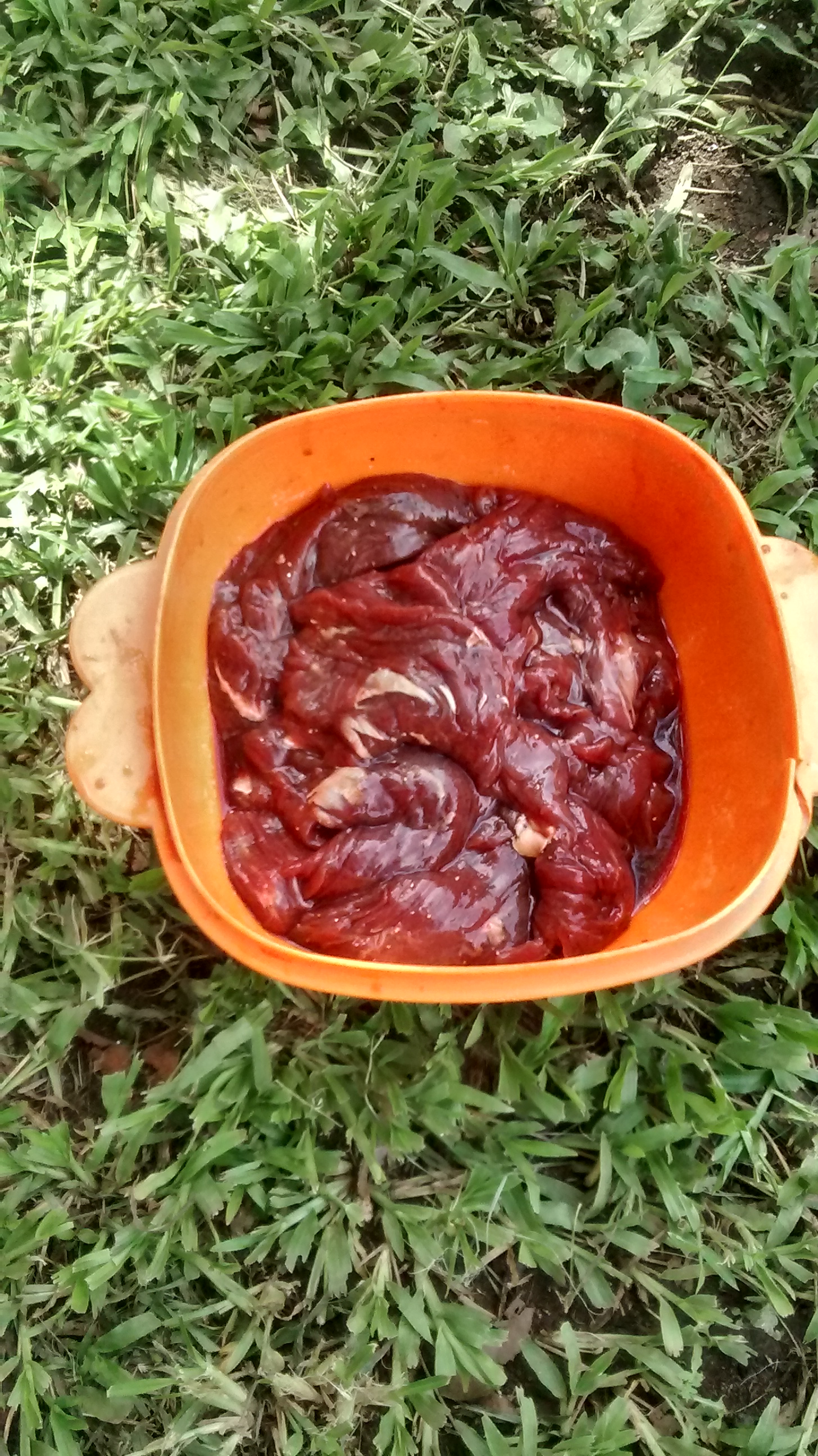 Sazón de Isaura image 1