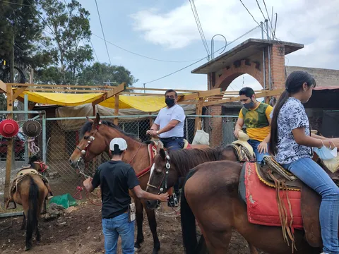 El Conejo Loco image 6