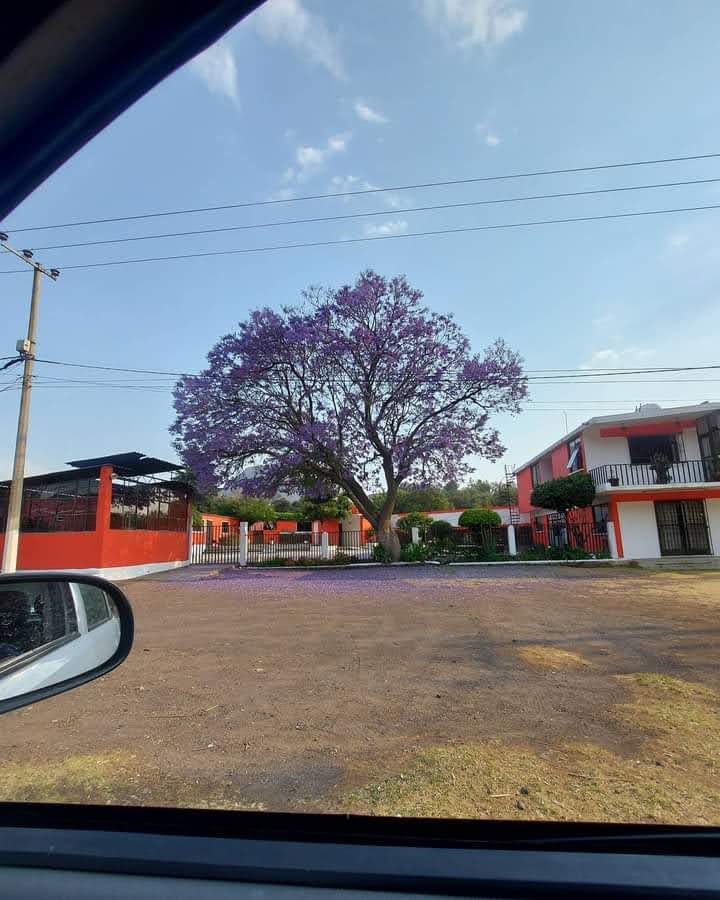 Restaurante "El Arenal" image 8