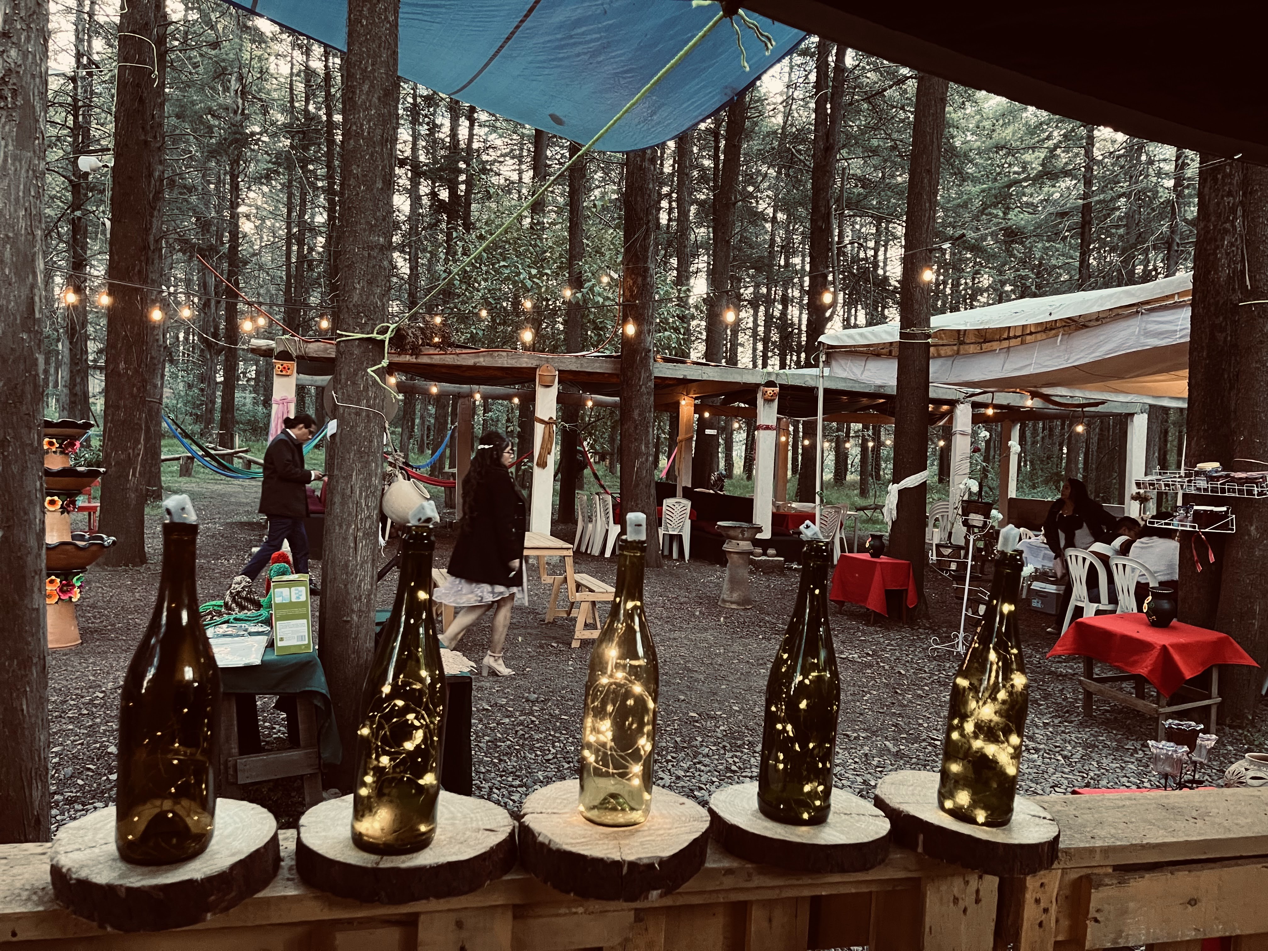El Bosque Restaurante image 1
