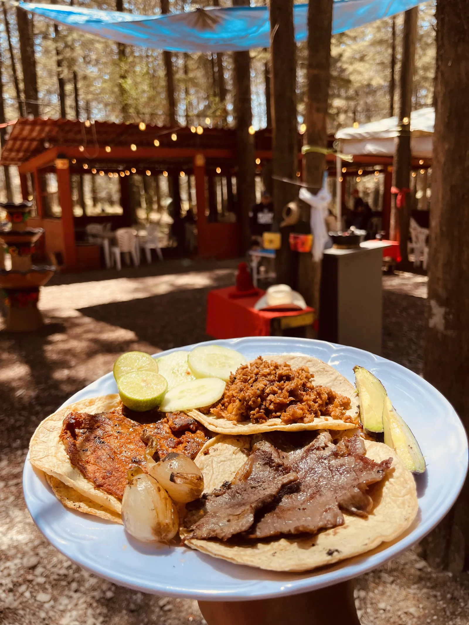 El Bosque Restaurante image 2