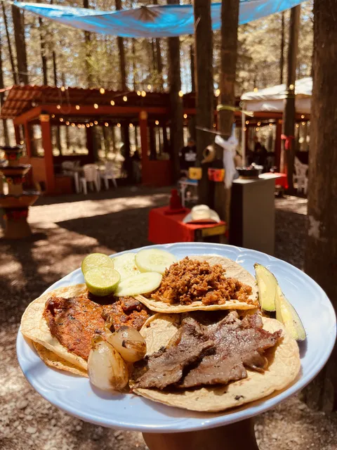 El Bosque Restaurante image 2