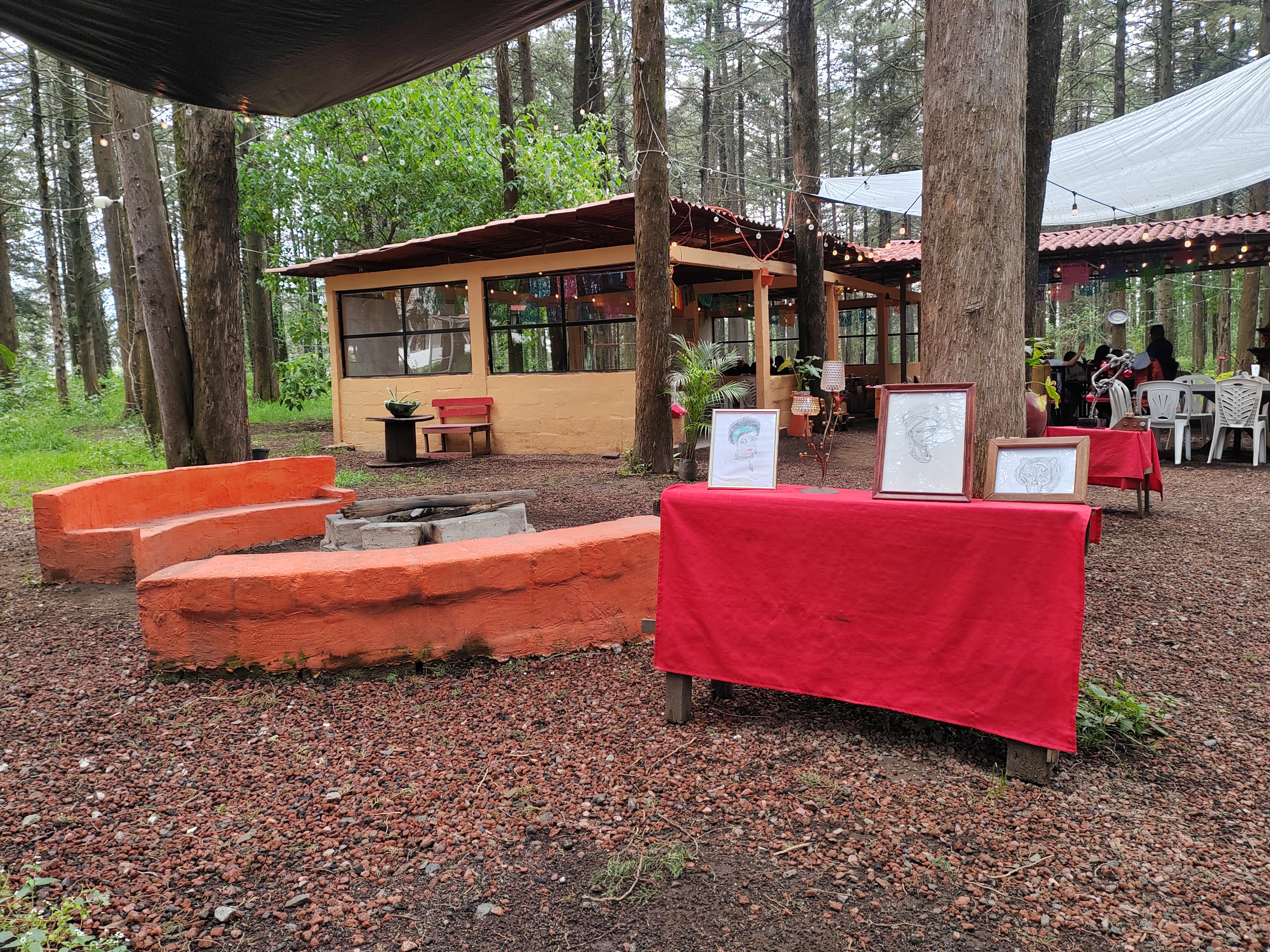 El Bosque Restaurante image 3