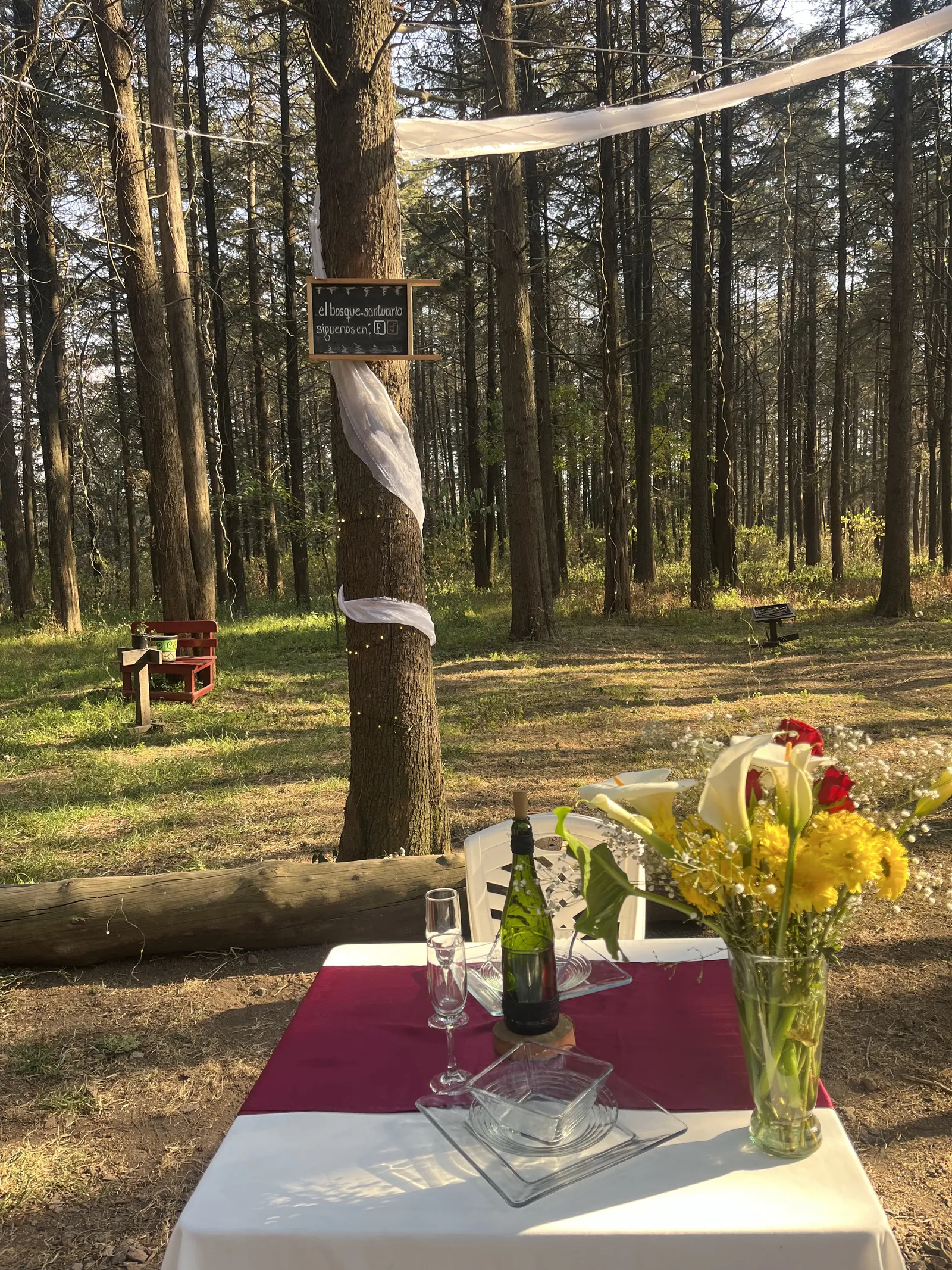 El Bosque Restaurante image 4
