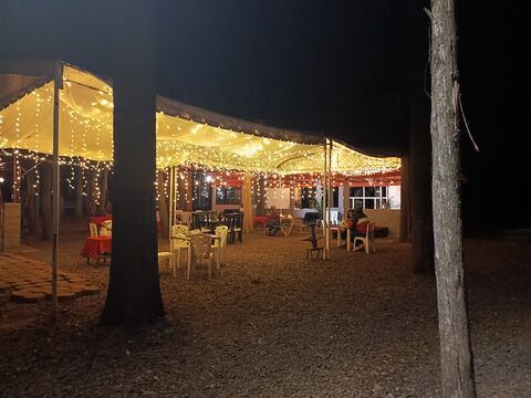 El Bosque Restaurante image 6