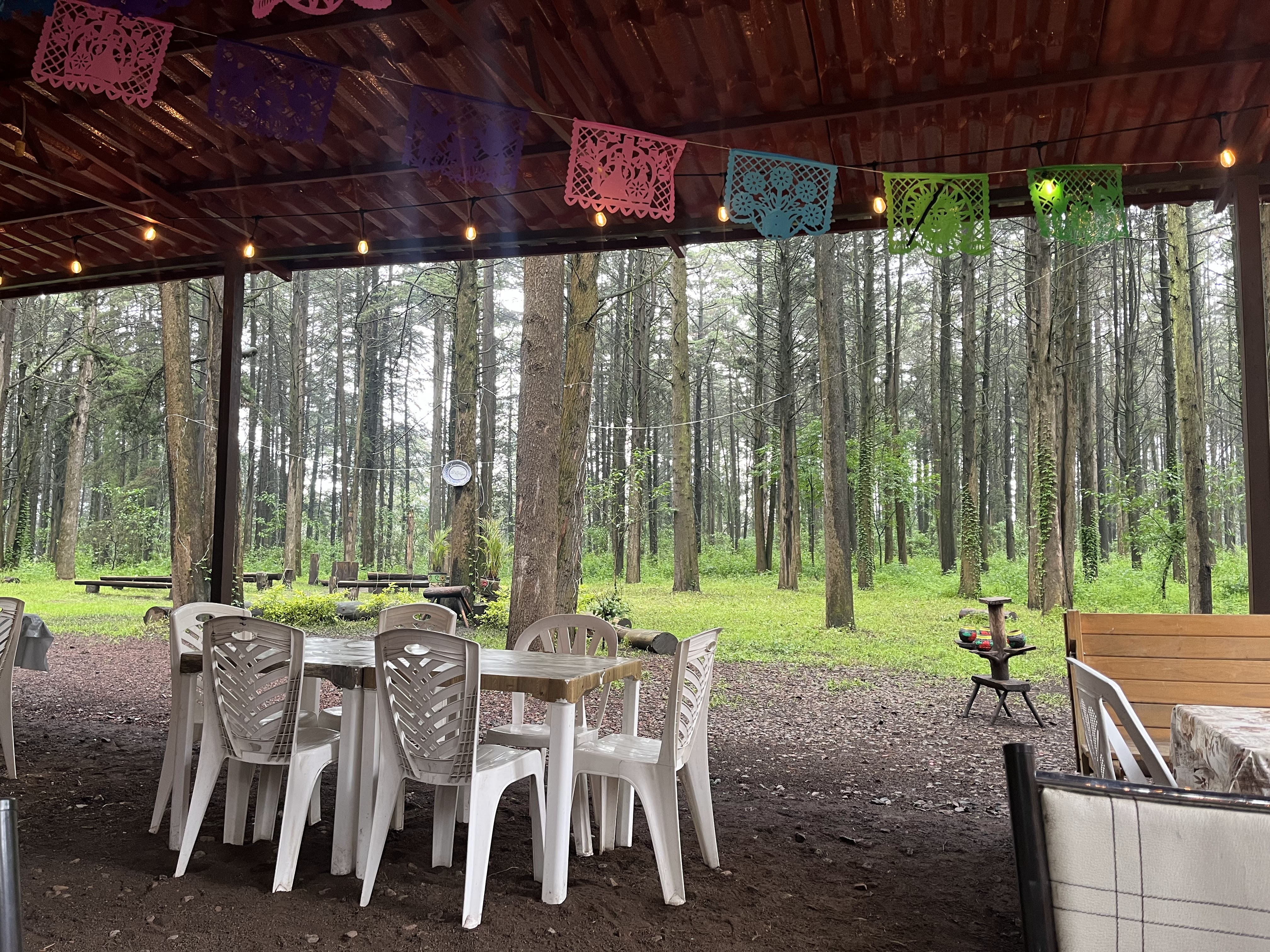 El Bosque Restaurante image 8