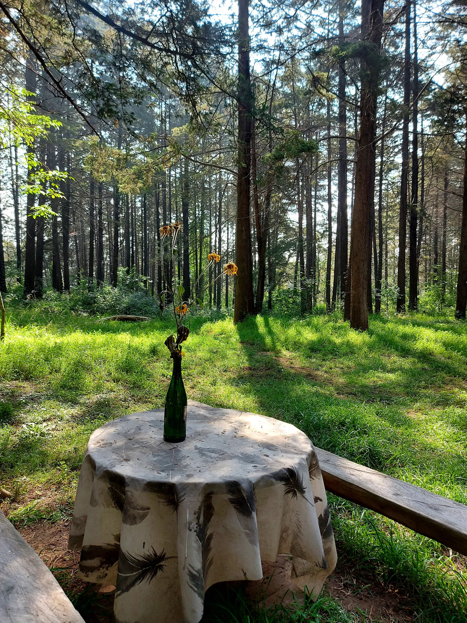 El Bosque Restaurante image 9