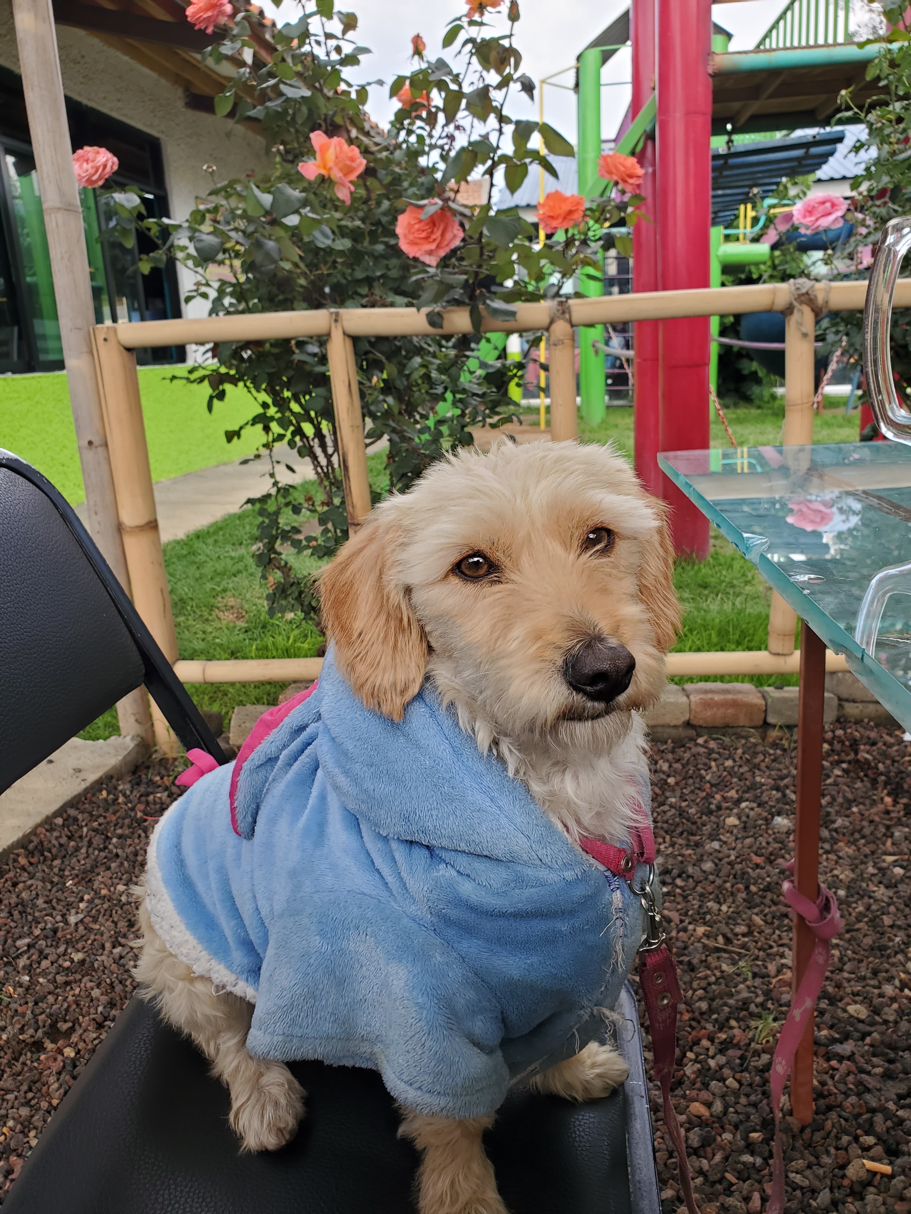 Restaurante don conejo image 5