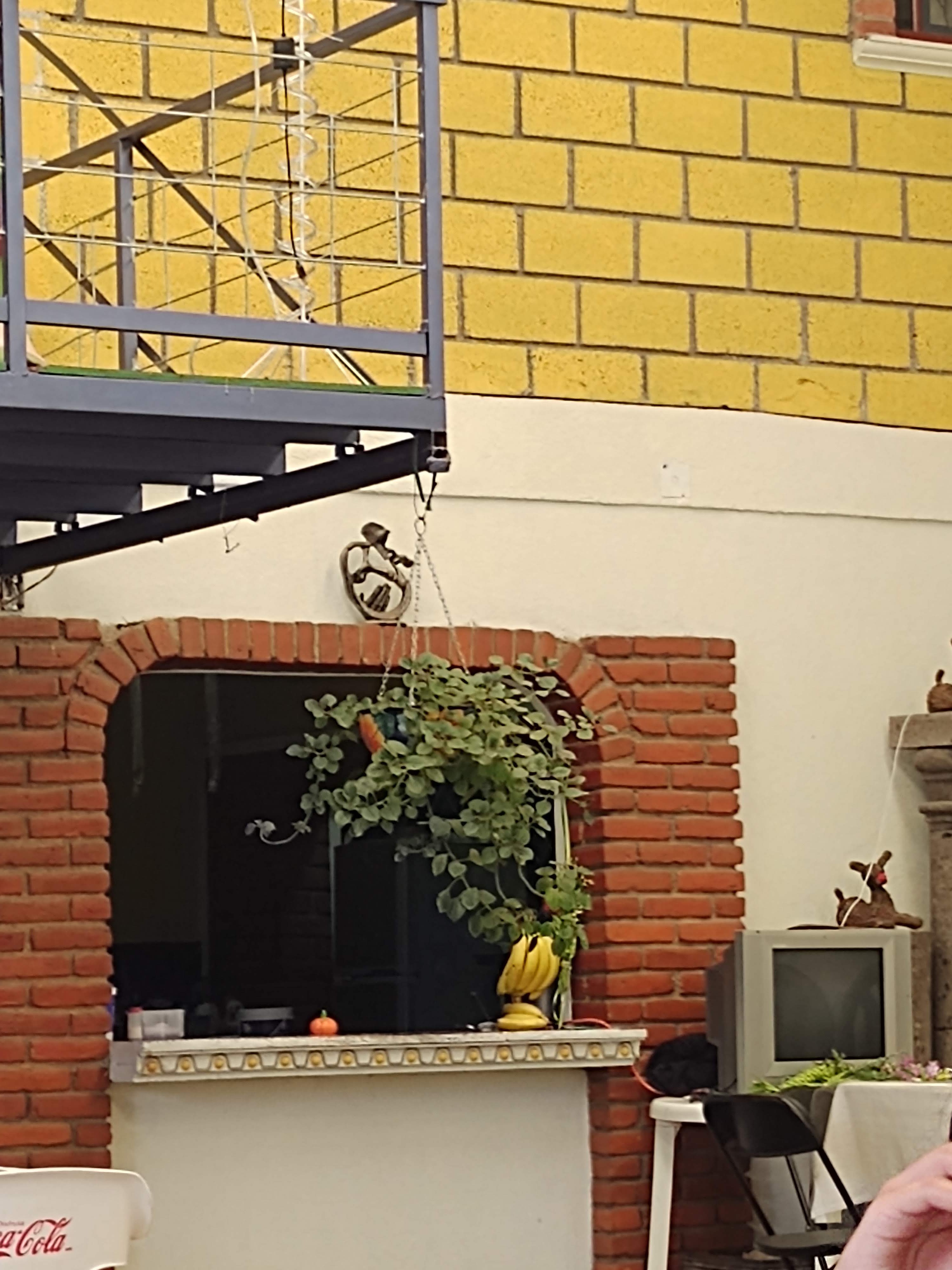 RESTAURANTE CAMPESTRE TAURO image 9