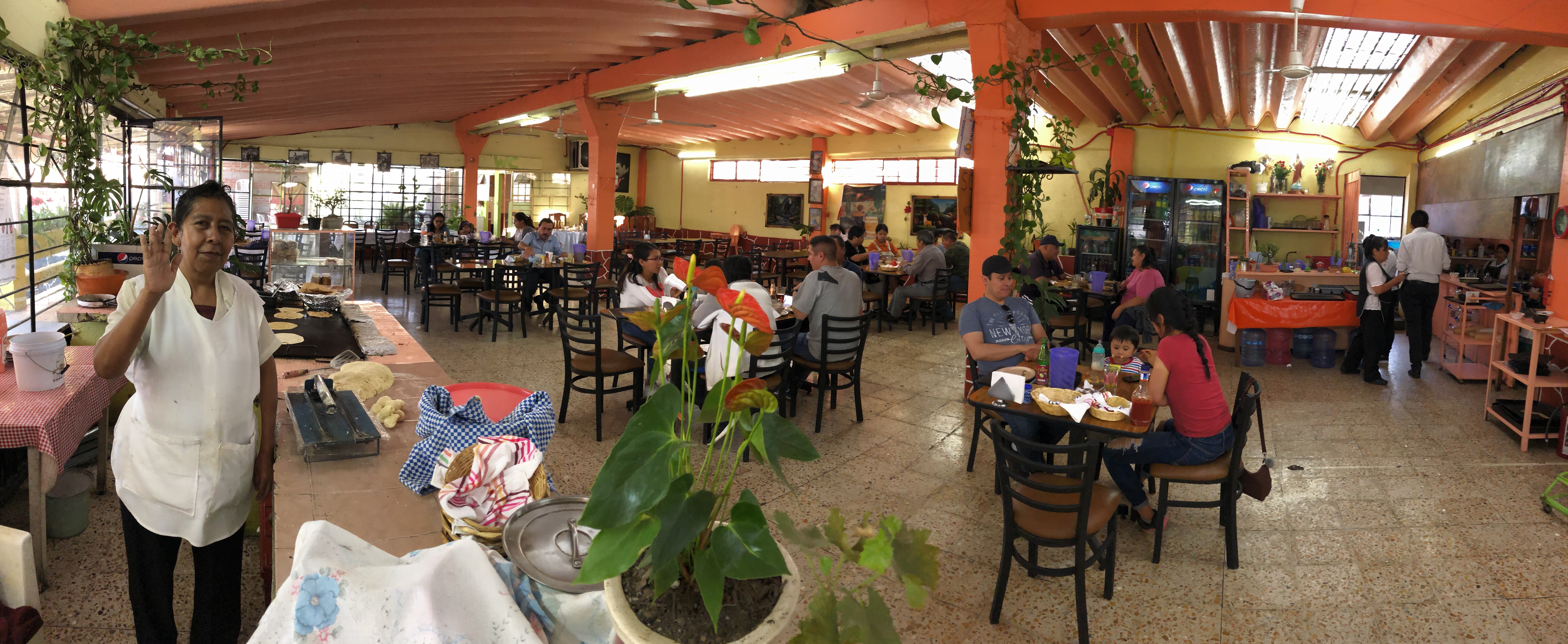 El Zapote Jr image 1