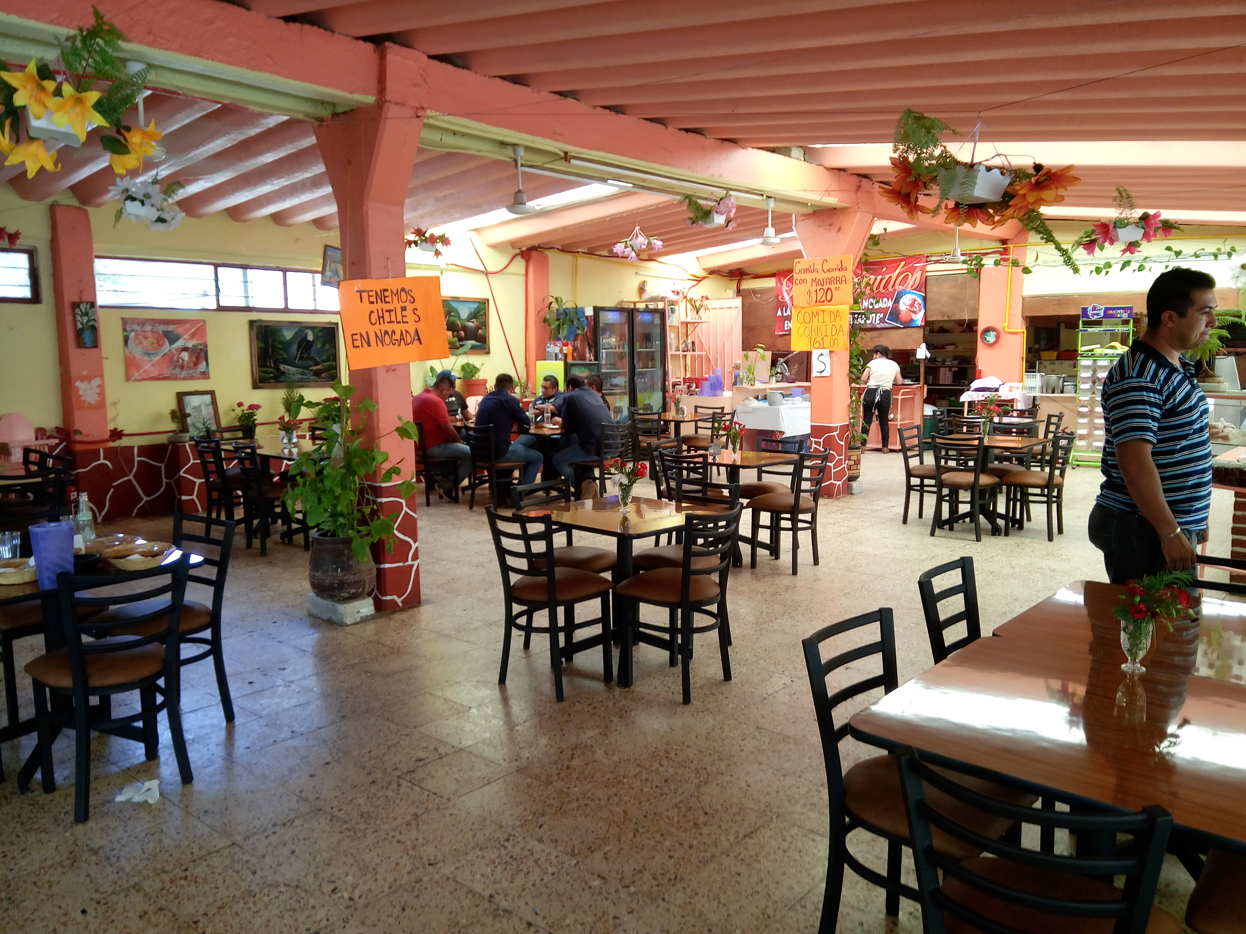 El Zapote Jr image 3