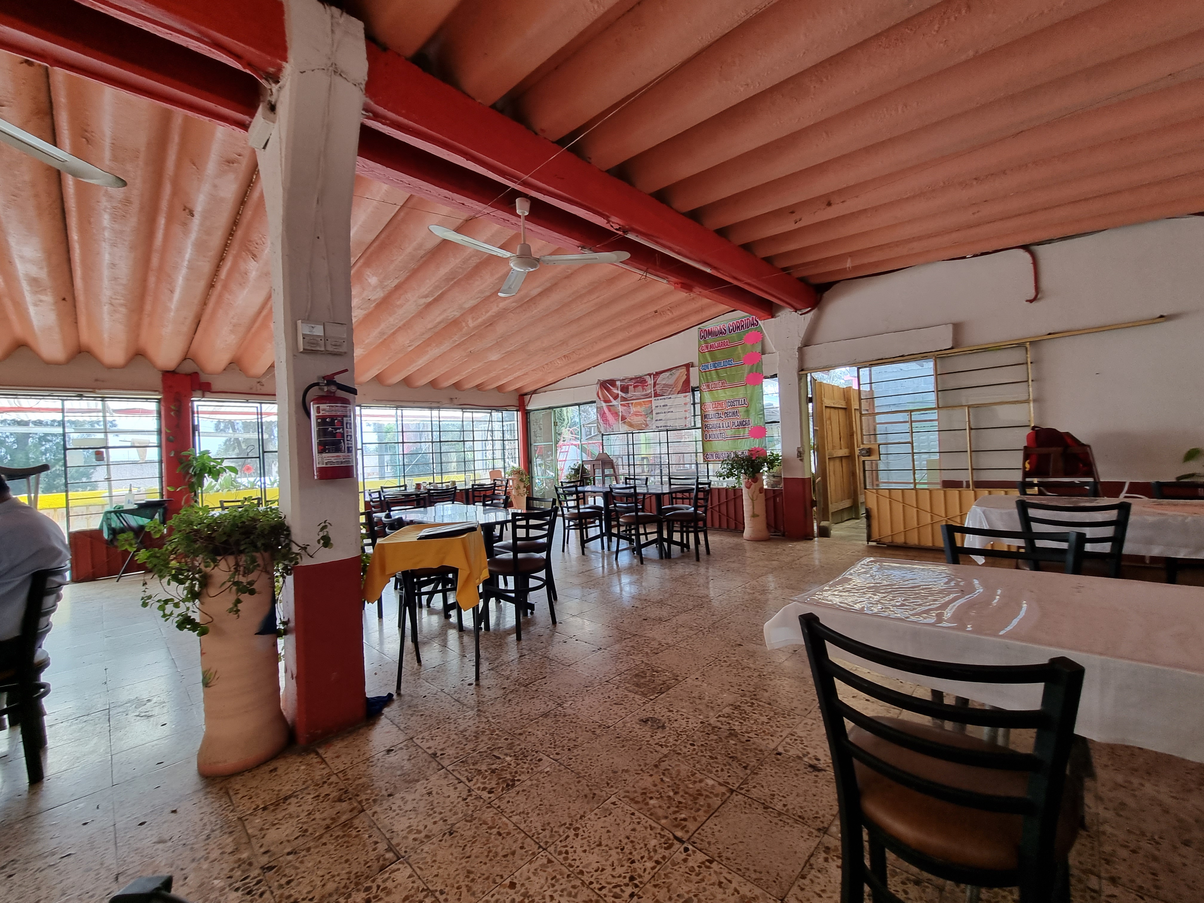 El Zapote Jr image 5