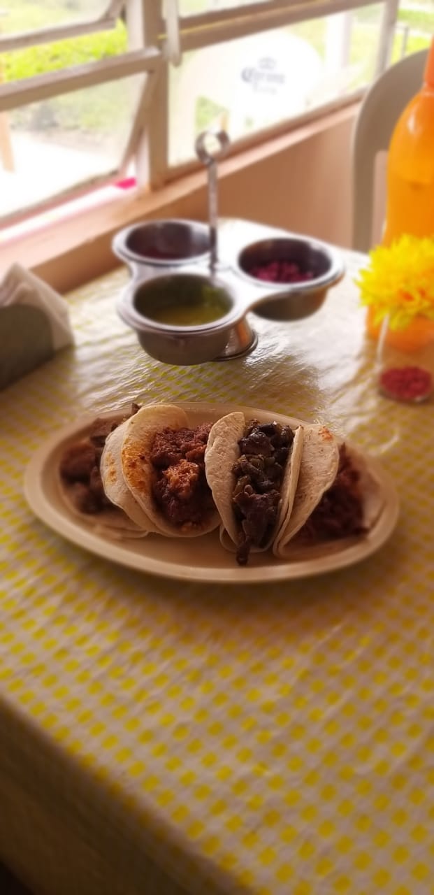 Tacos de guisado Dae image 3