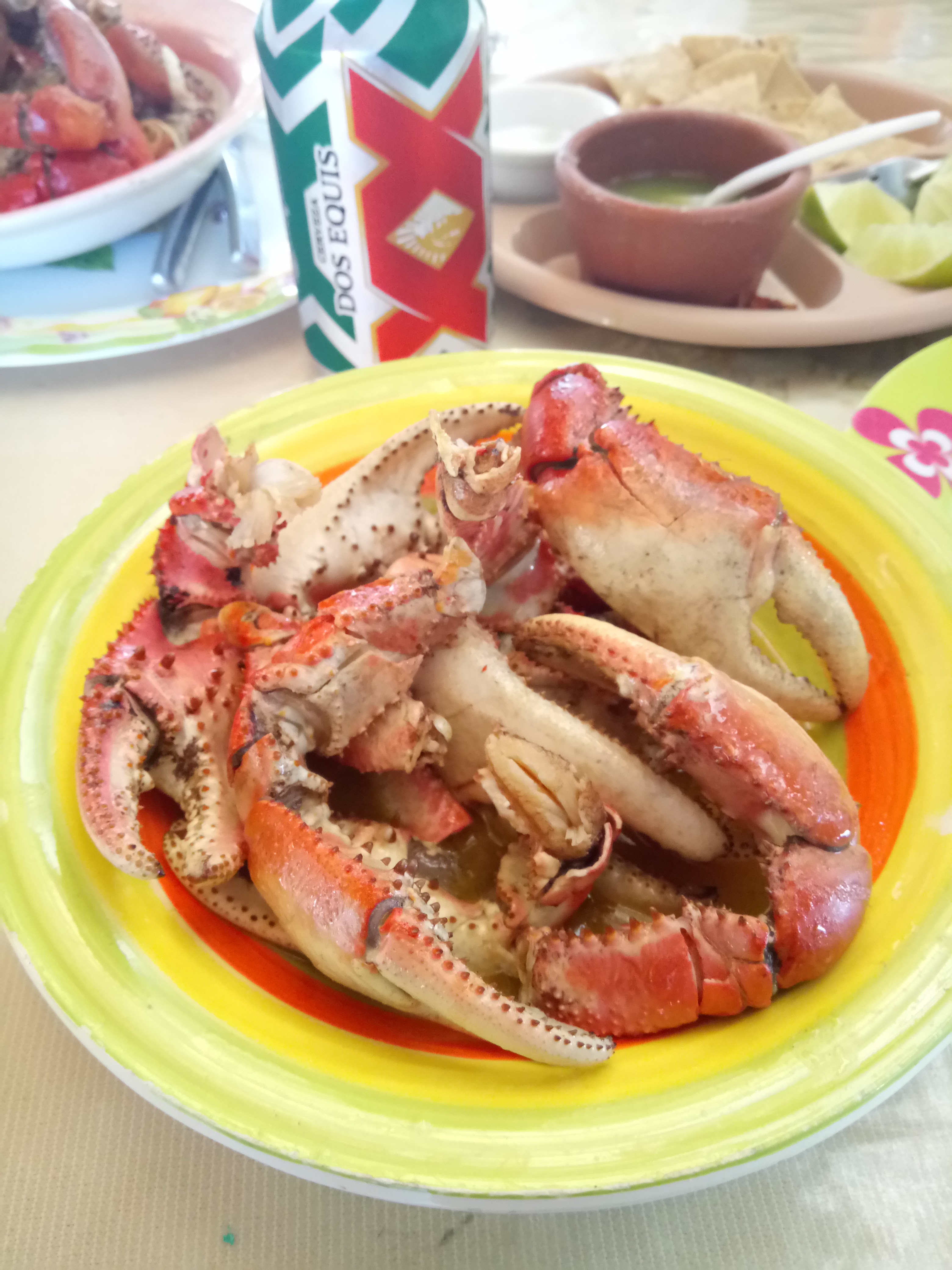 El Ostion Gulion image 9