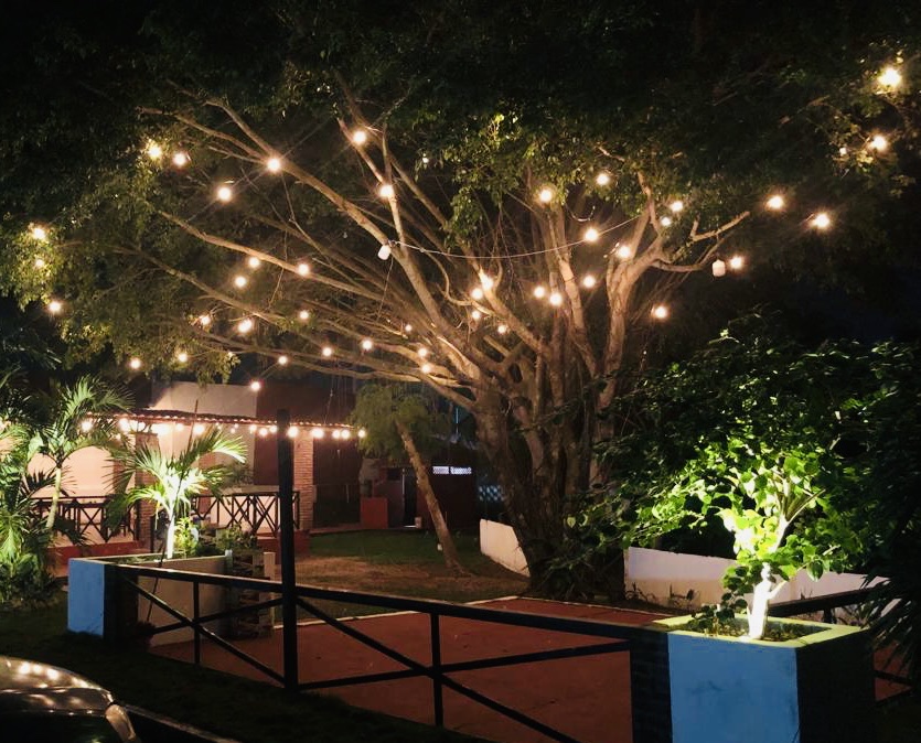 Botanero Barra Norte image 4